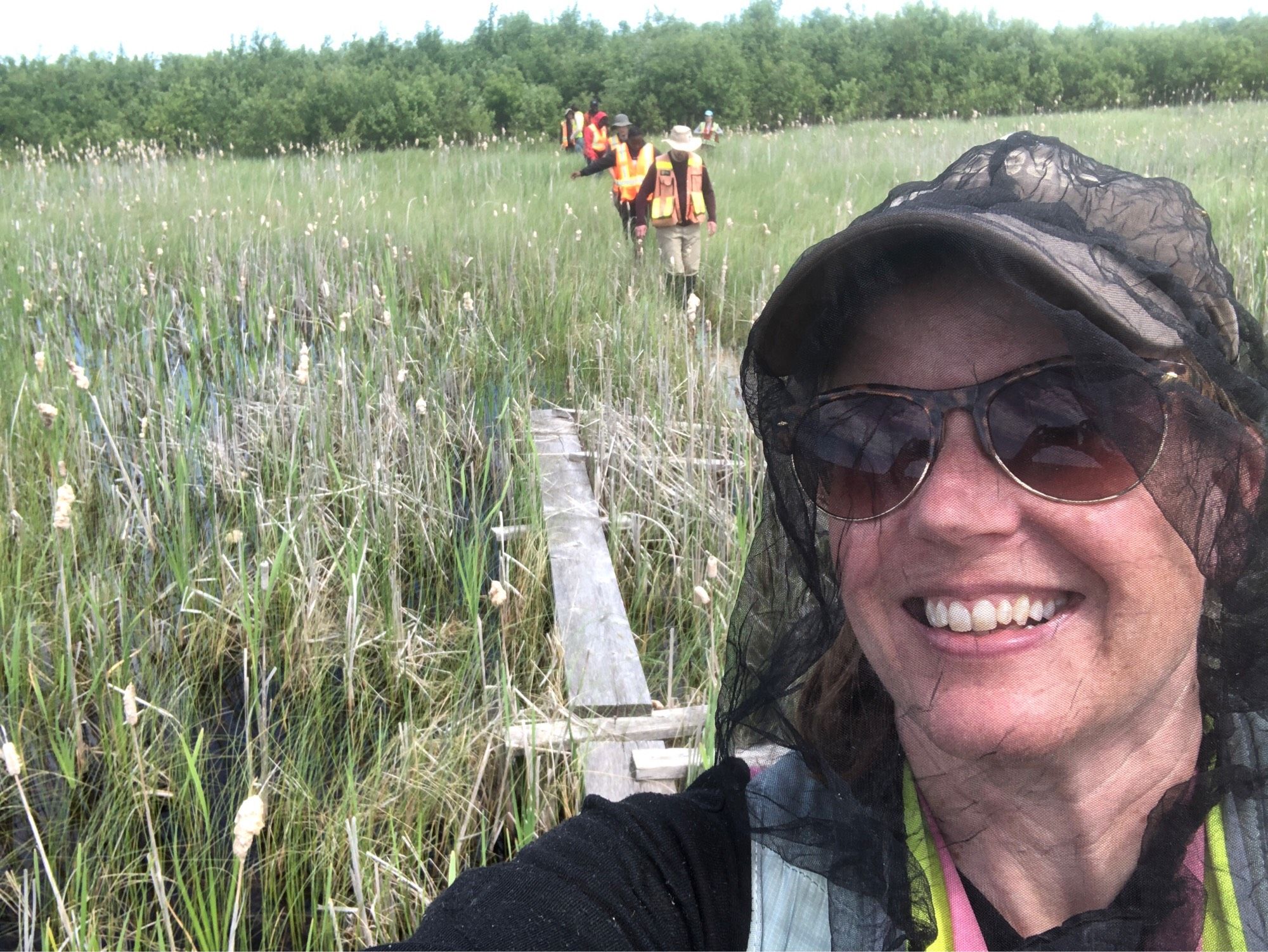 Maria Strack wearing a bug net with a group of researchers behind her on a boardwalk in a fen.