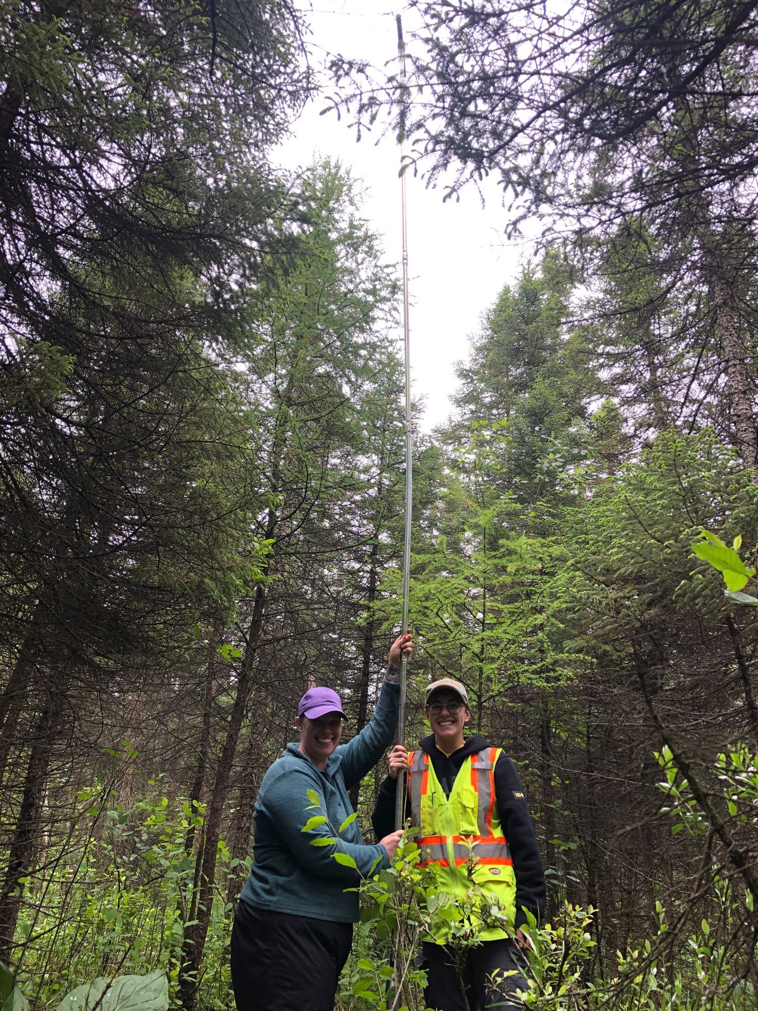 Two researchers hold a long soil auger extending several meters into the air and forest canopy above them.