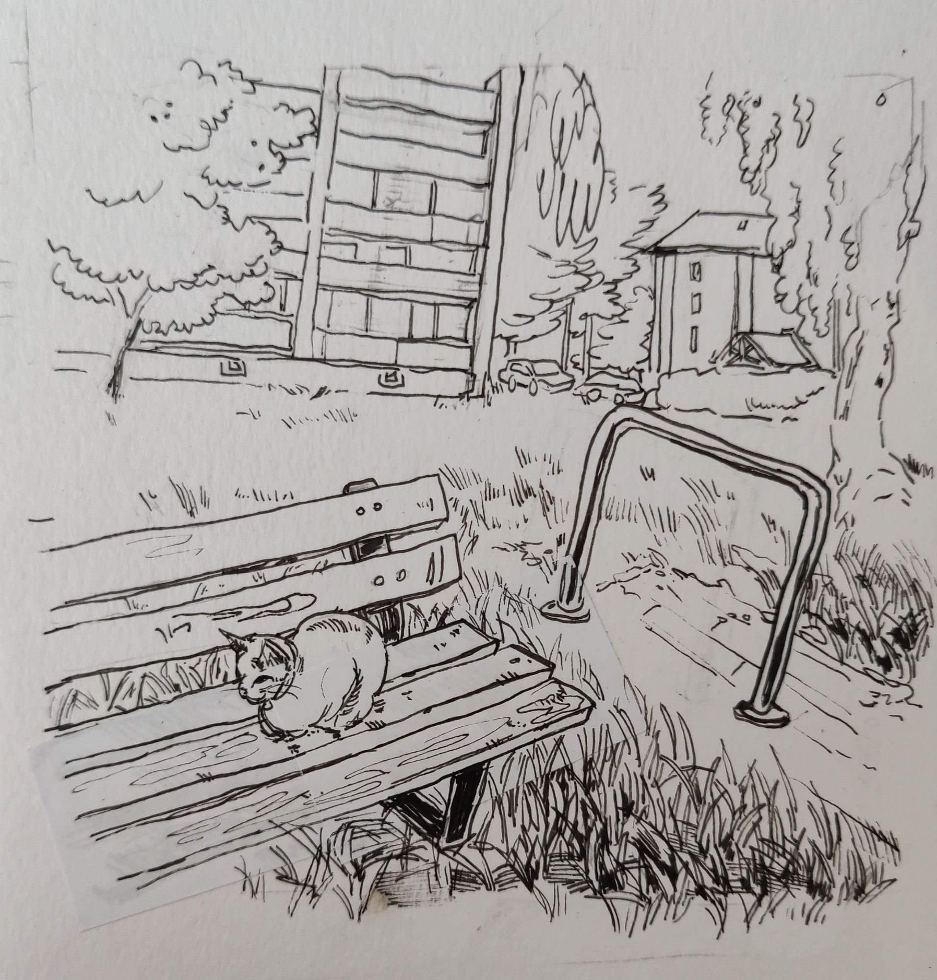 Drawing of a cat in a residential neighborhood park, laying down on a bench