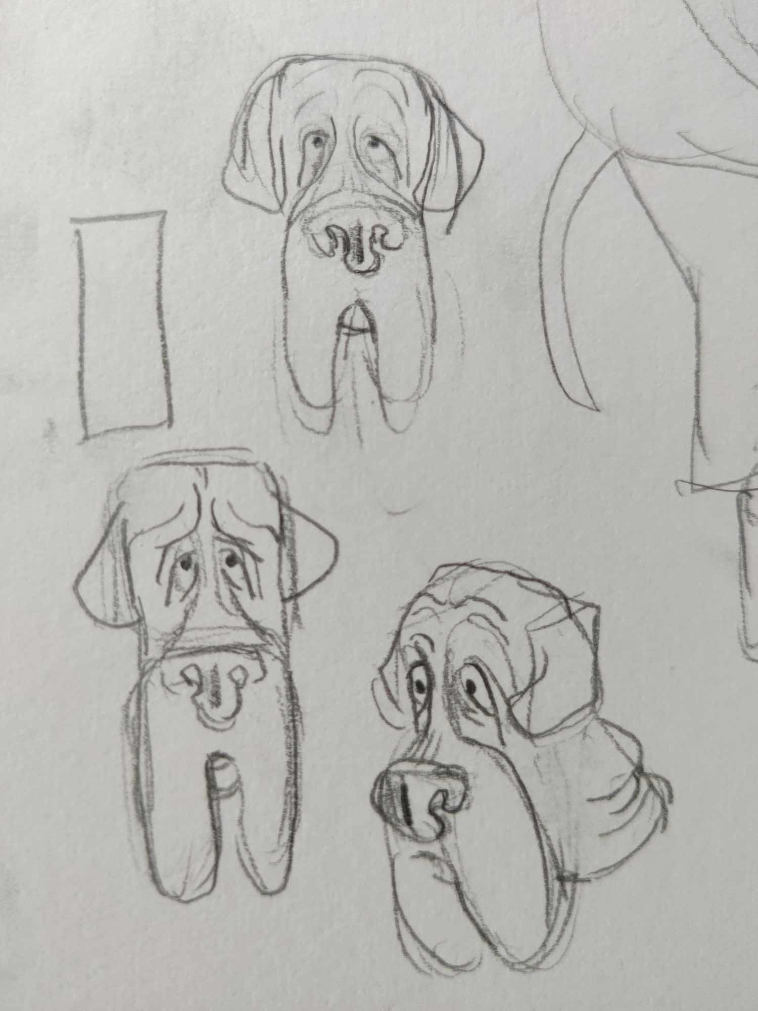 3 pencil sketch close-ups of an older-looking anthro dog