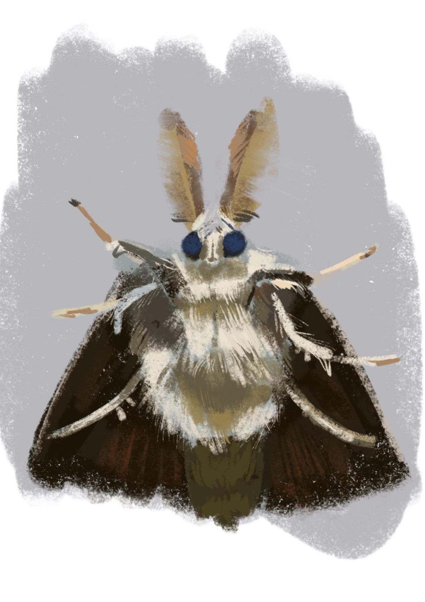 A digital drawing of a moth