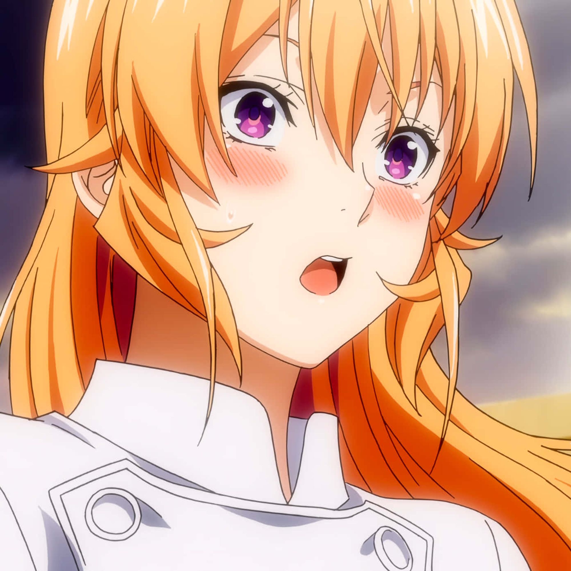 Erina - Shokugeki no Souma.