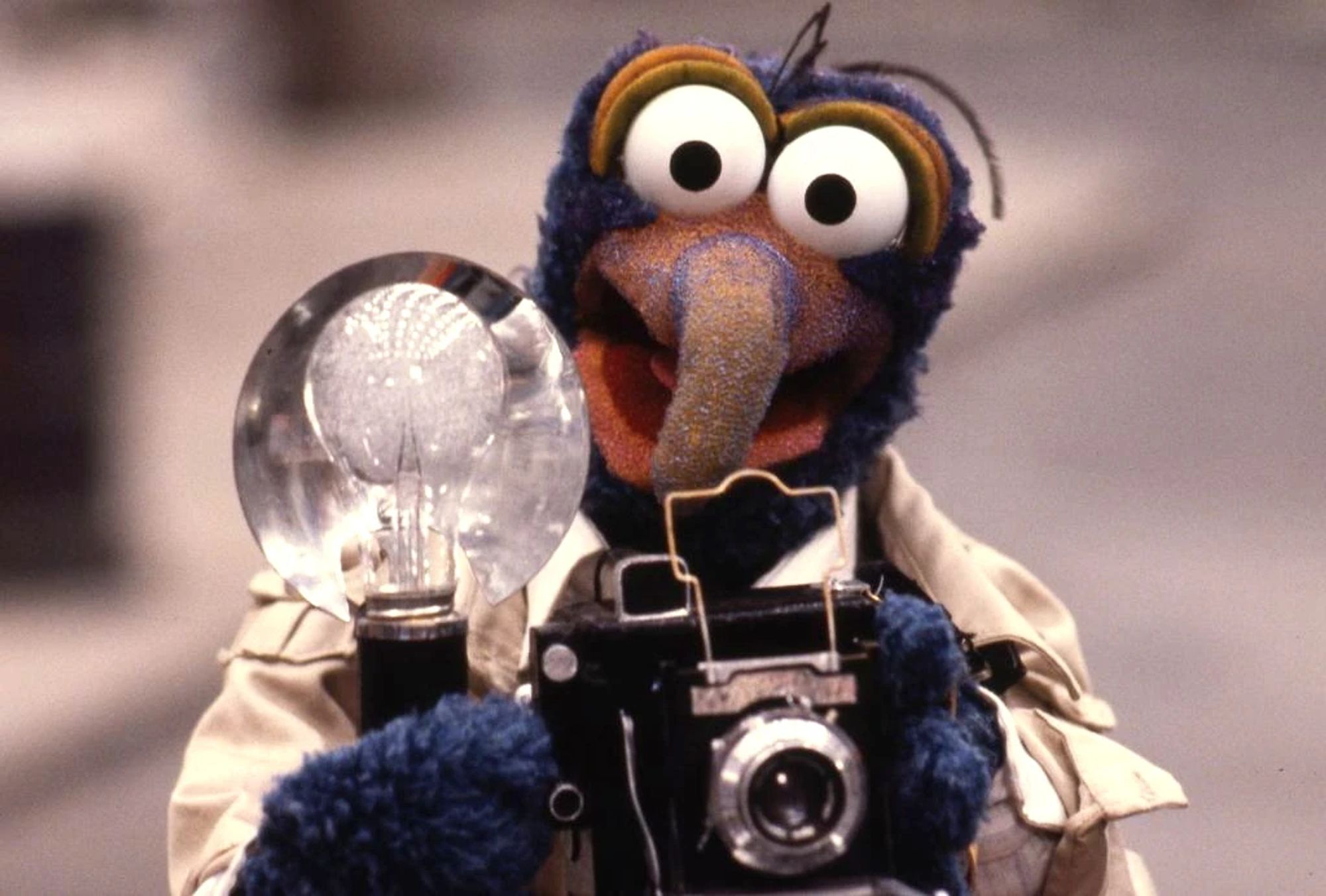 Gonzo the Great with a camera, playing a news photographer in The Great Muppet Caper