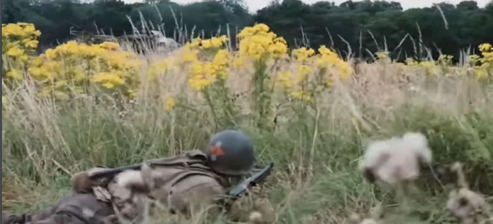 image of solders in a field, with flower in the background