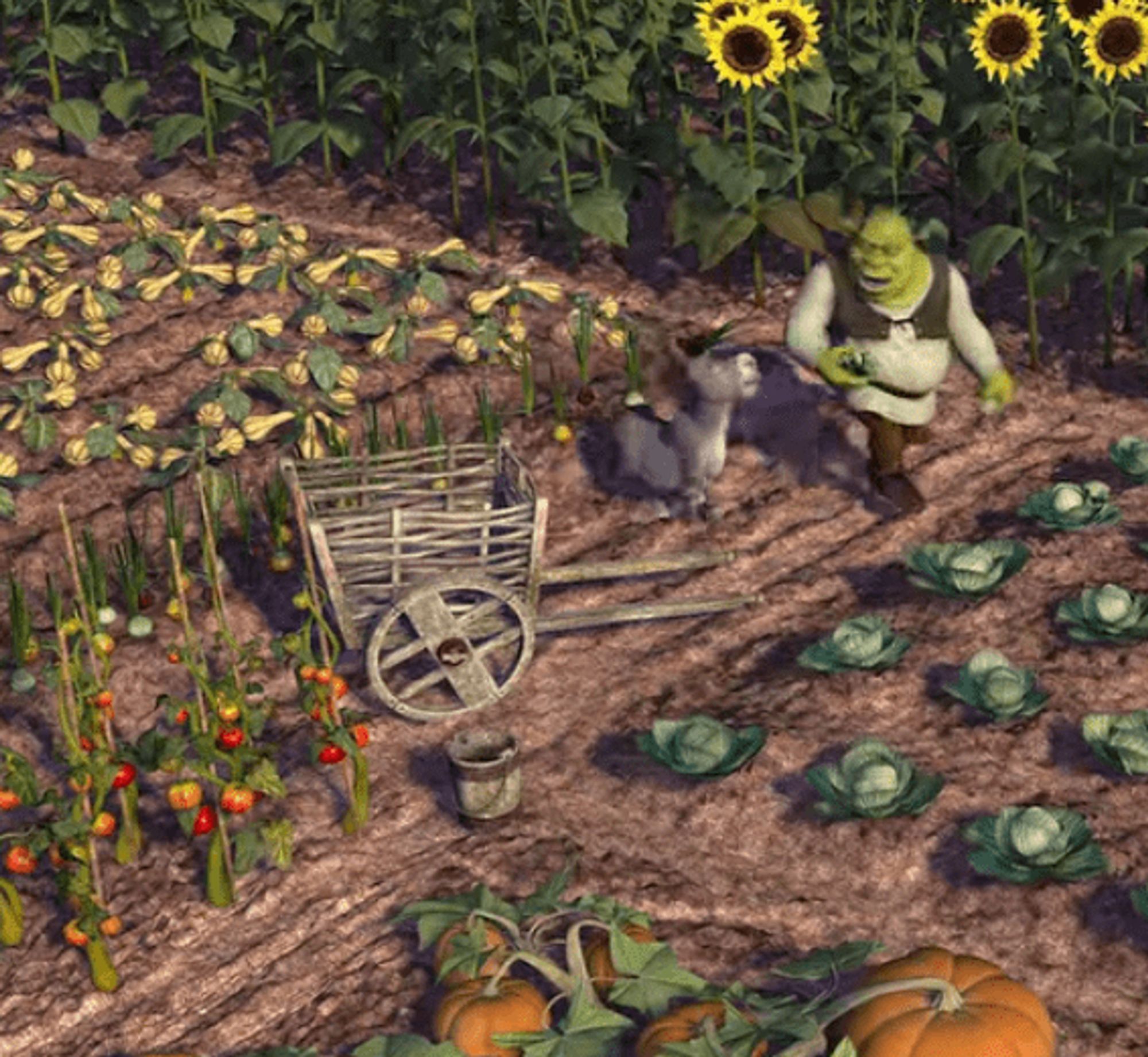 screenshot from a Shrek movie, where we see a field of tomatoes and squashes