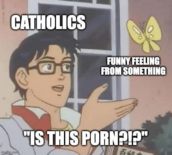 A meme shows a man labeled "Catholics" pointing at a butterfly labeled "Funny feeling from something," asking, "Is this porn?!?.