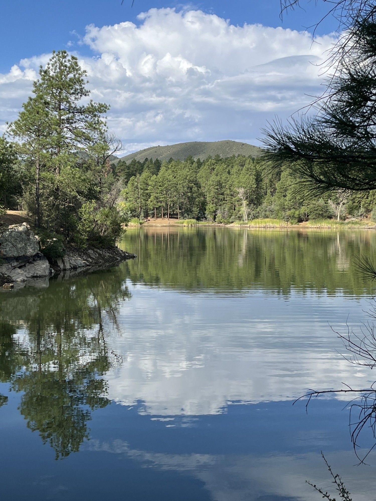 Reflection of the sky, with lots of white clouds, in Lynx Lake, AZ. Photo taken from the shoreline. Rocky ledges visible on the left side and pine trees frame the picture.