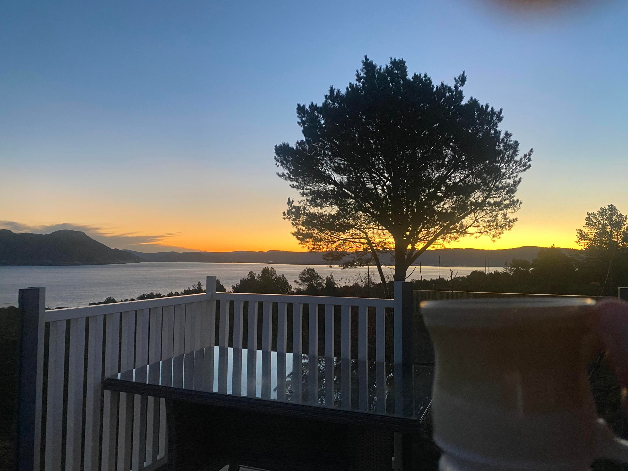 Utsikt fra hytteterrasse like før soloppgang. En gylden himmel mot landet på andre sida av Trondheimsfjorden i nordøstlig retning (Rissa). Ei høy, slank  furu står litt til høyre i bildet.