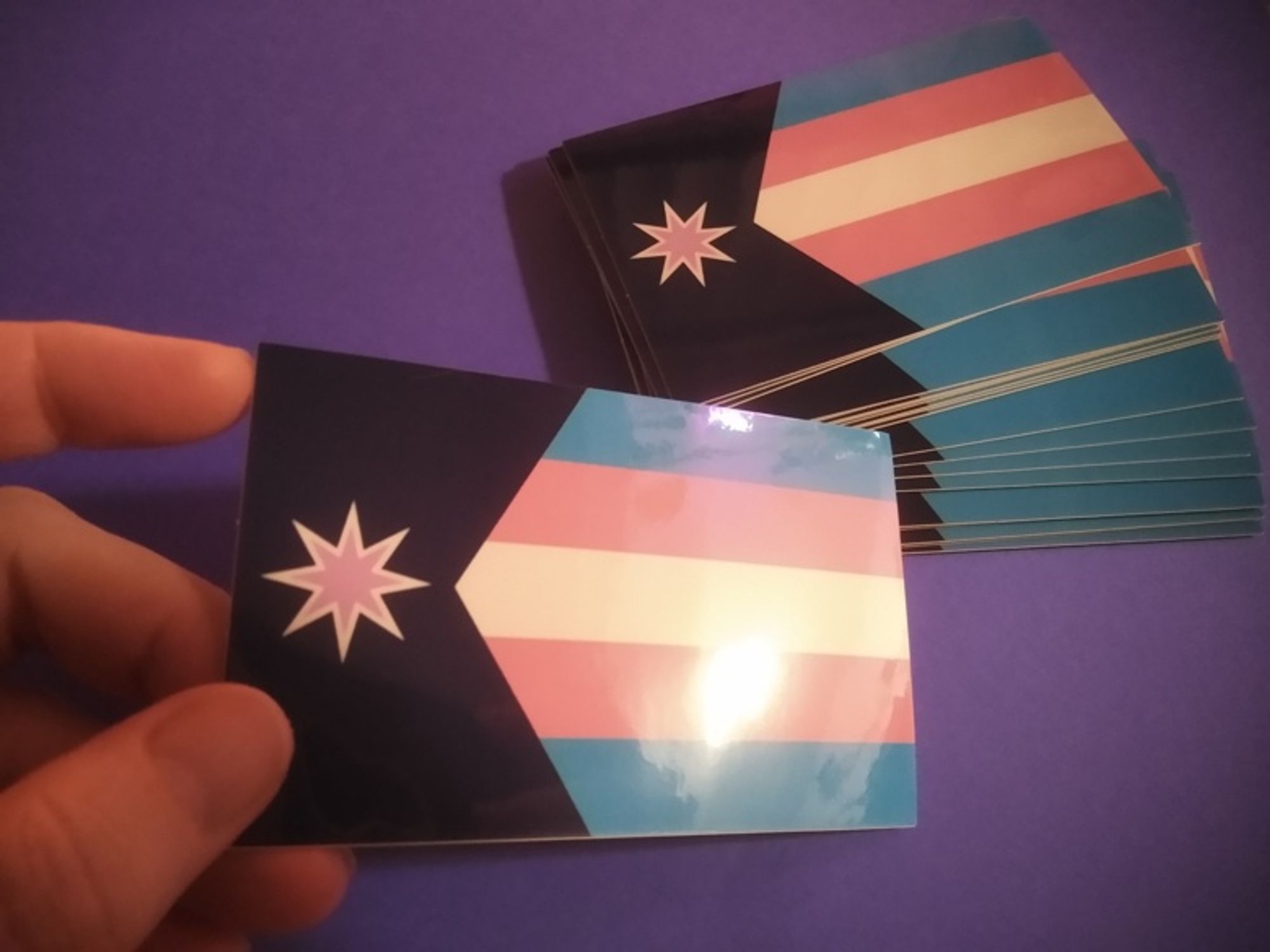 Minnesota State Trans Pride sticker, 2.5x4 inch size