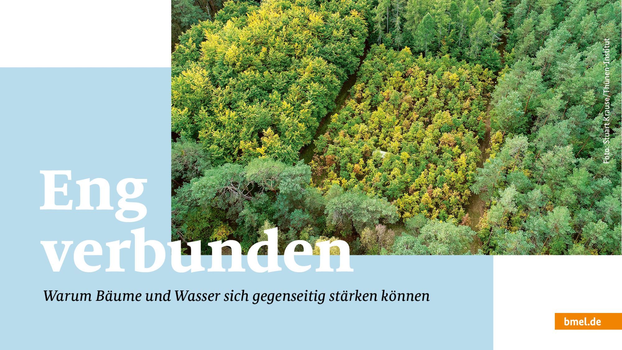 Ein Foto zeigt einen Wald von oben. Daneben die Aufschrift: "Eng verbunden. Warum Bäume und Wasser sich gegenseitig stärken können."