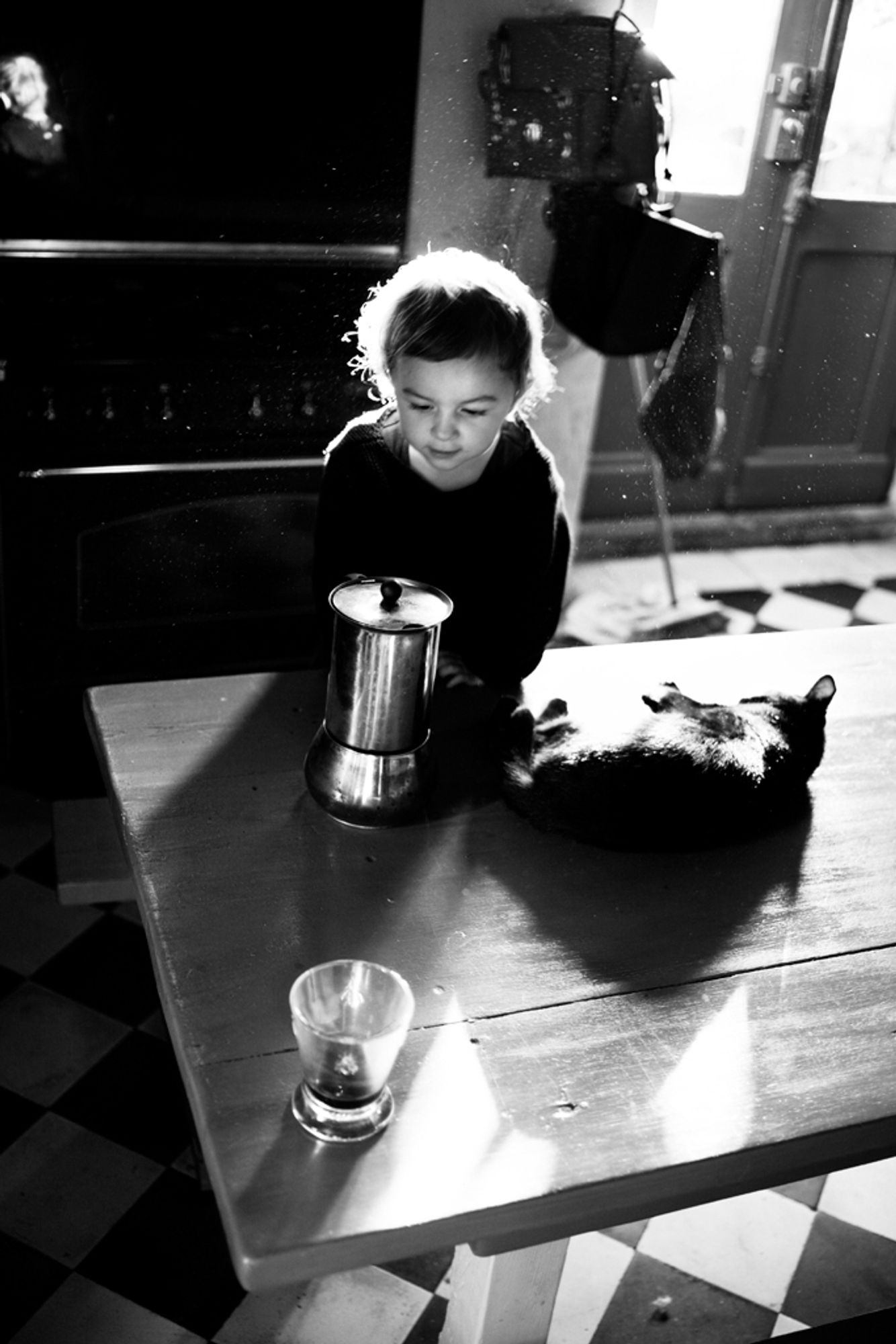 Un chat couché sur une table à côté d'une cafetière, un enfant regarde la cafetière.