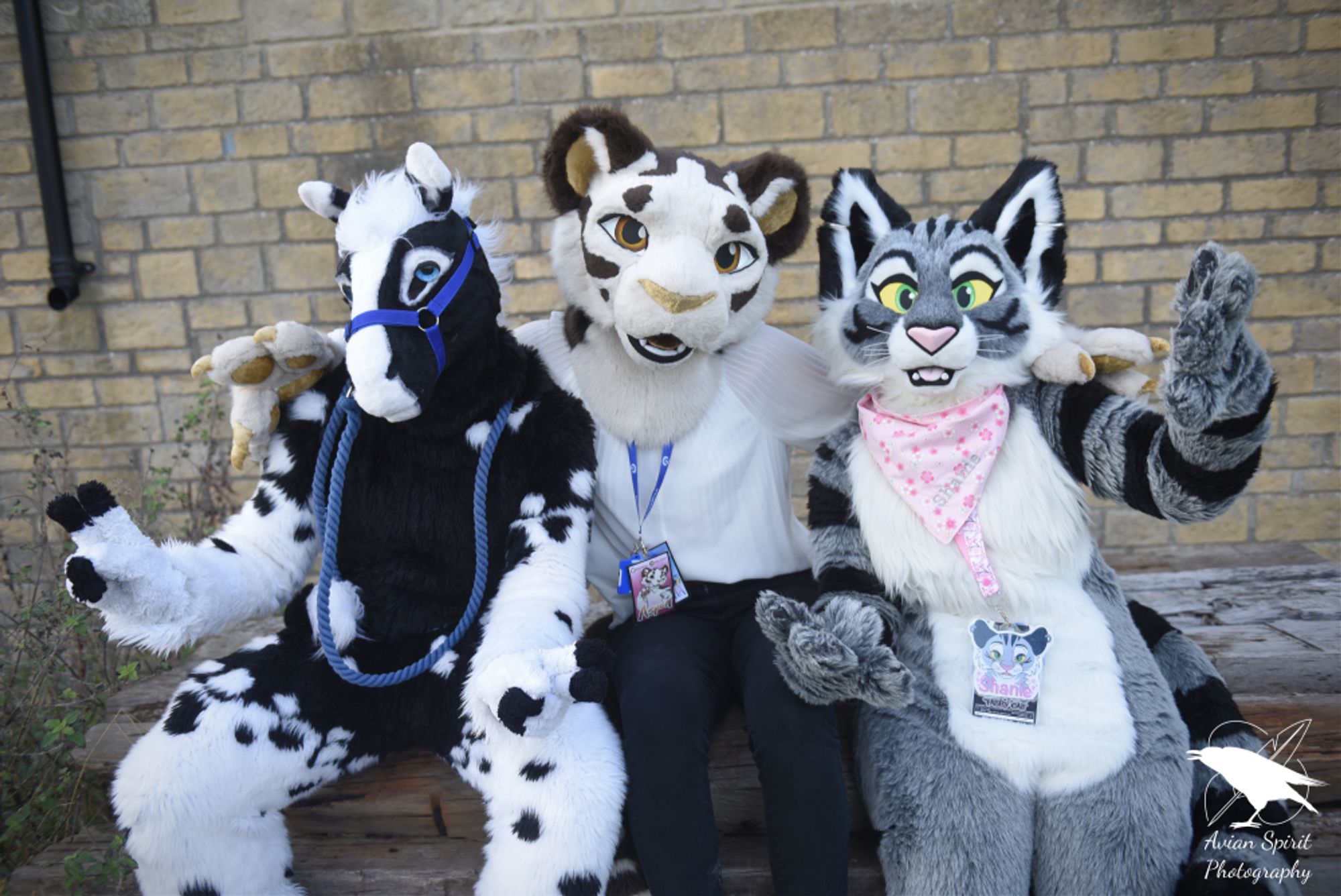 A photo of three fursuiters sat on a log pile, posing for the camera as though they're cool. There's a black & white horse, and white tiger, and a silver tabby cat