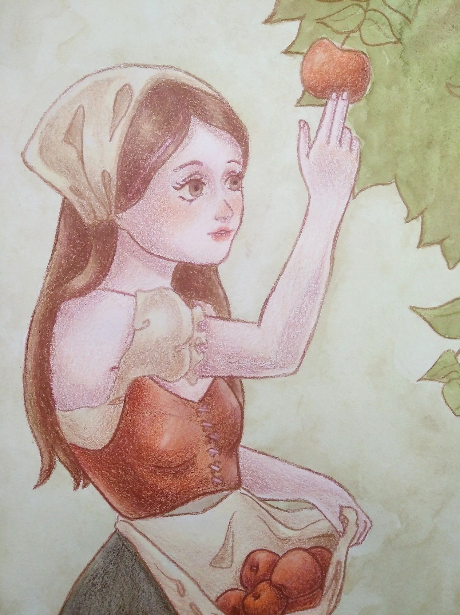 A watercolour and colour pencil drawing of a countryside girl taking apples from a appletree.