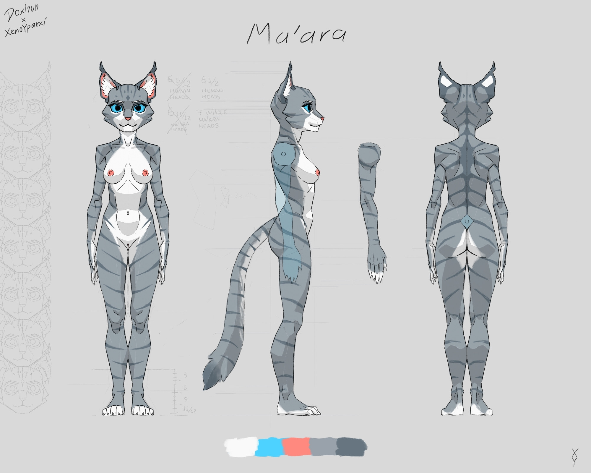 Ma'ara reference sheet