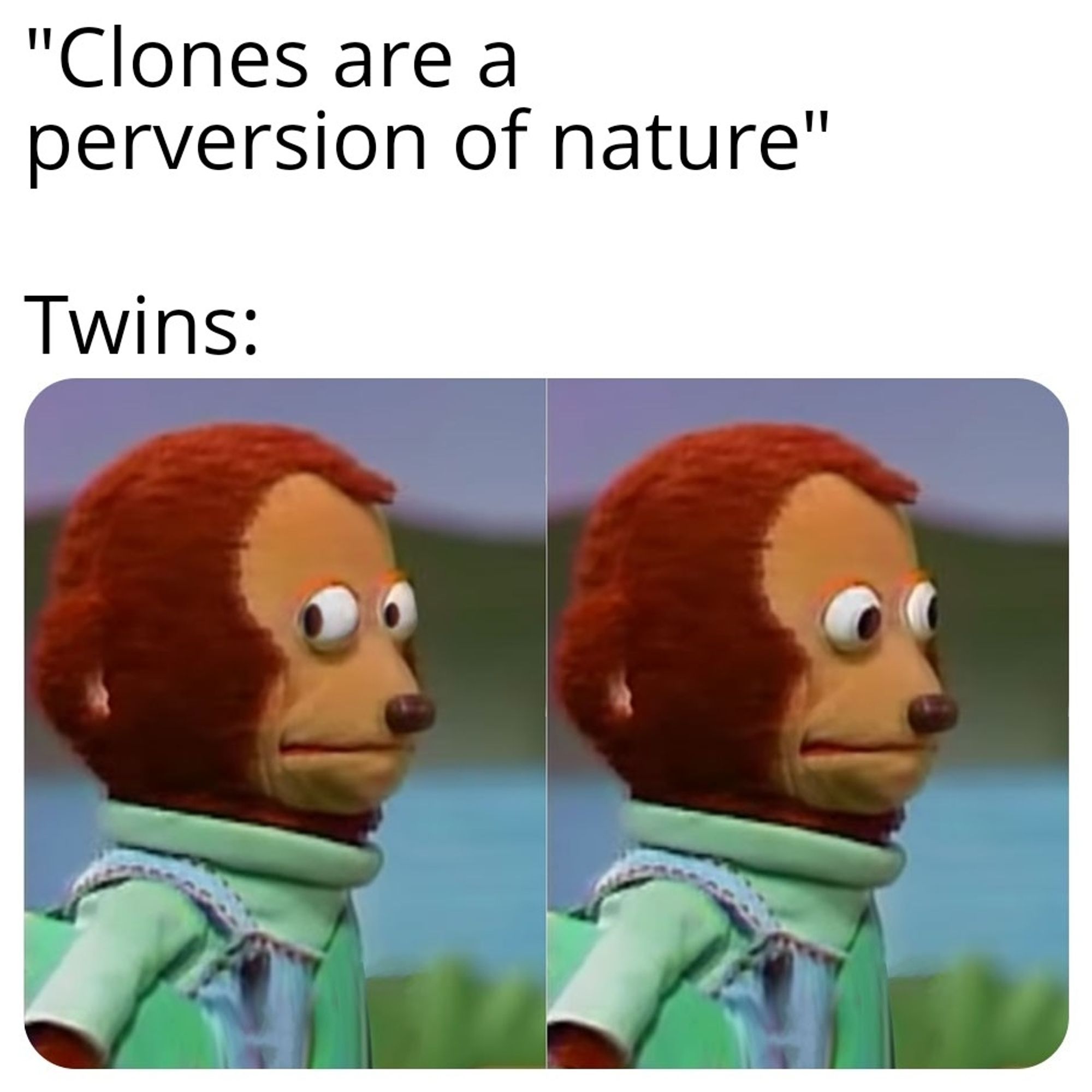 Monkey puppet meme:

On top: "clones are a perversion of nature"
Above the monkey: twins