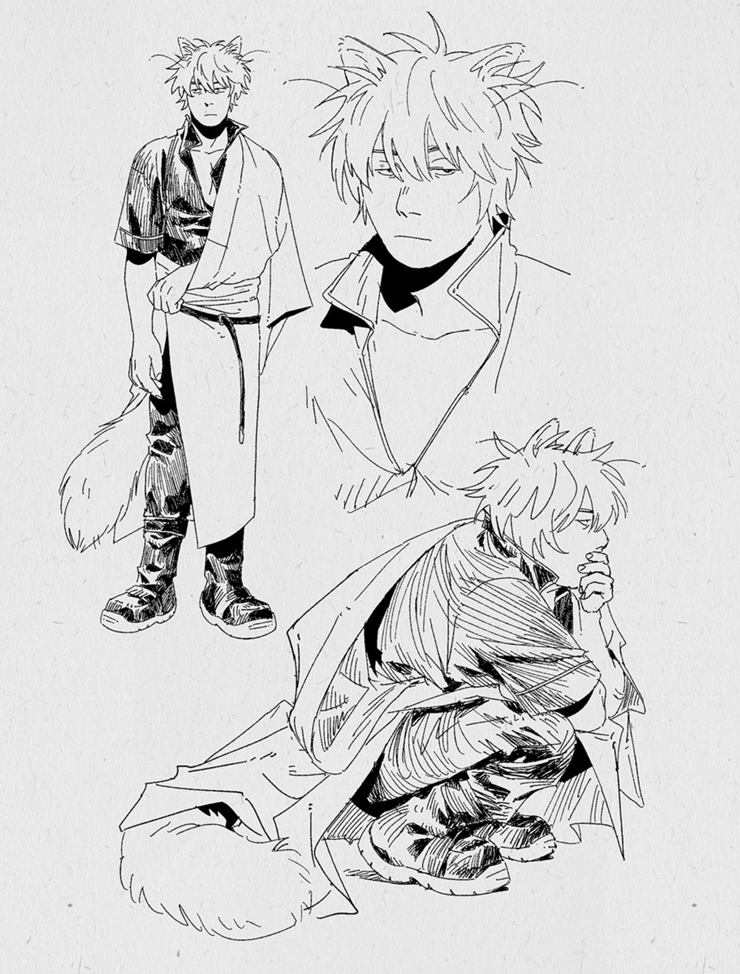 various sketches of catboy gintoki who has white roundish ears and a fluffy white tail