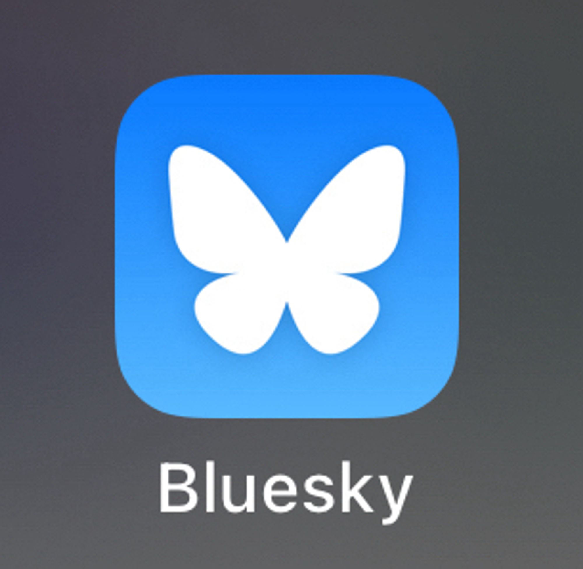 It’s a photo of the BlueSky App with the new logo of a white butterfly.