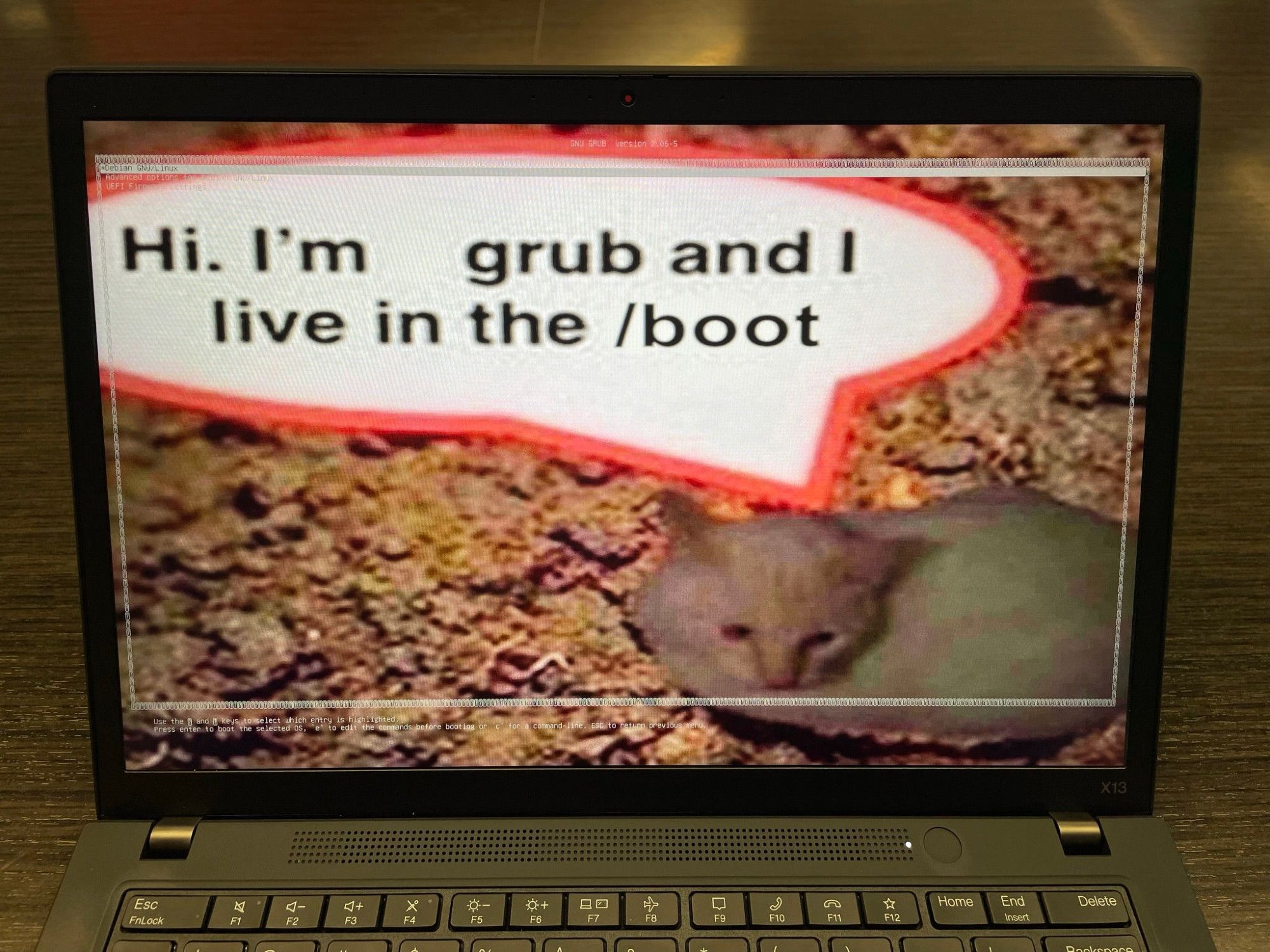 image of photoshopped cat in soil with speech bubble that says "Hi. I'm     grub and I live in the /boot", set as the background for the grub boot menu