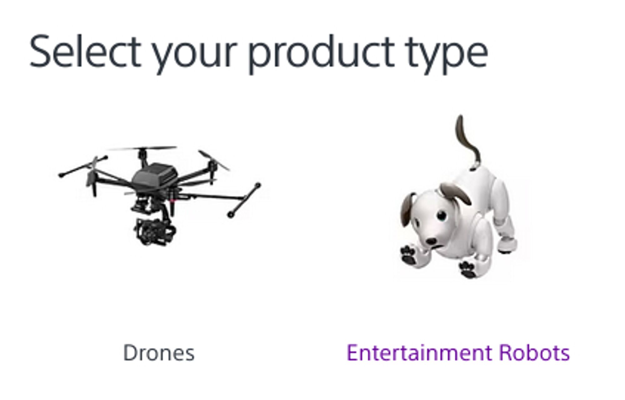 heading: "Select your product type". two items: "Drones" and "Entertainment Robots". image for the latter is sony's Aibo