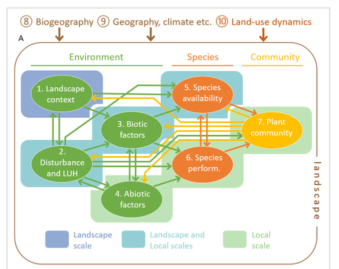 Conceptual figure of drivers during ecological succession