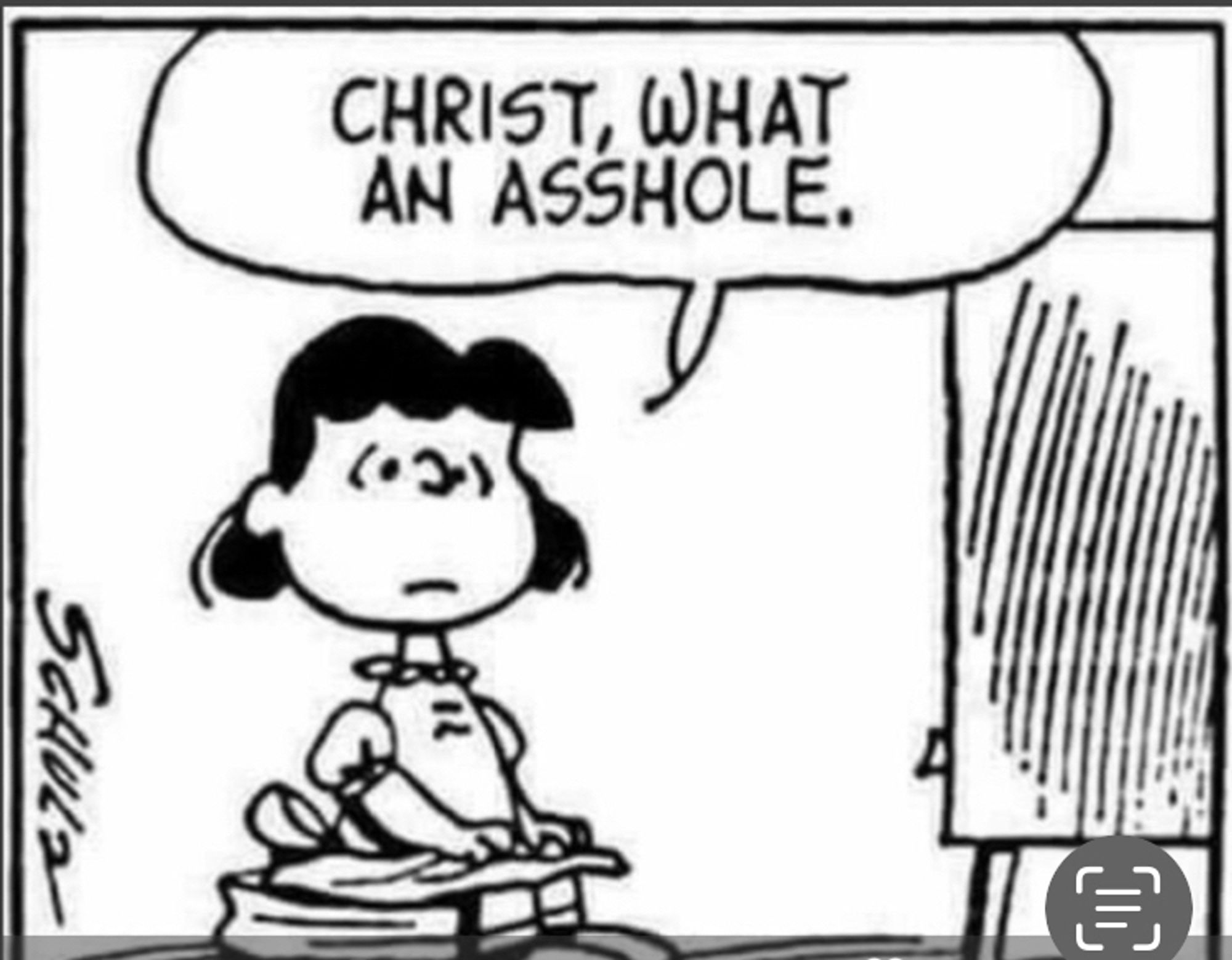 Lucy ( Peanuts ) vor dem Fernseher sitzend: „Christ, What An Asshole“