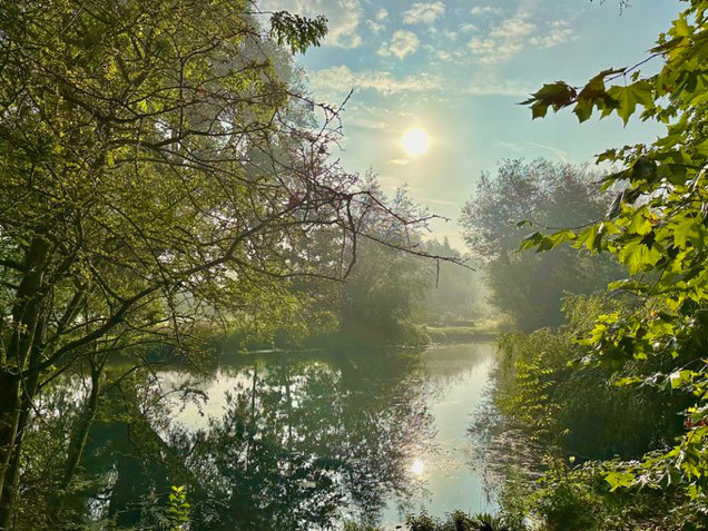 Sunrise through the autumn mist brightens up the day and makes worries lighter.