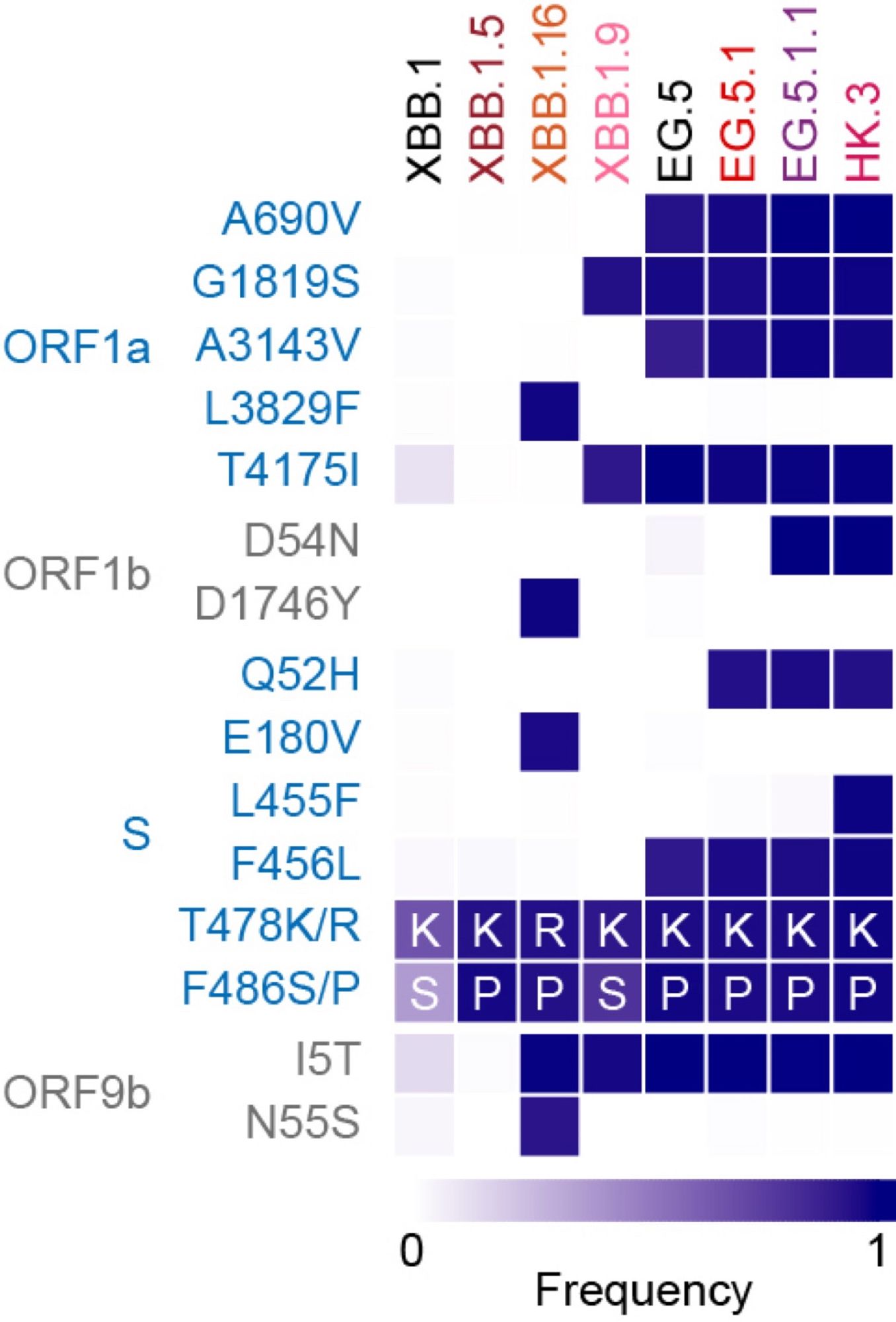 Cf. This is HK.3 (= EG.5.1+S:L455F)