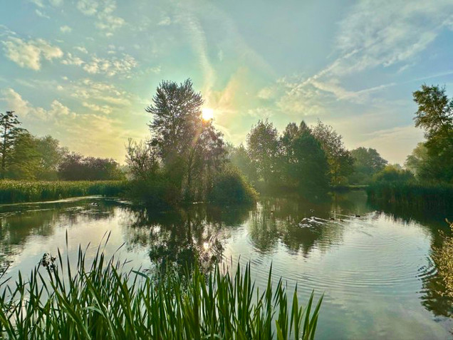 Reflection of the new day