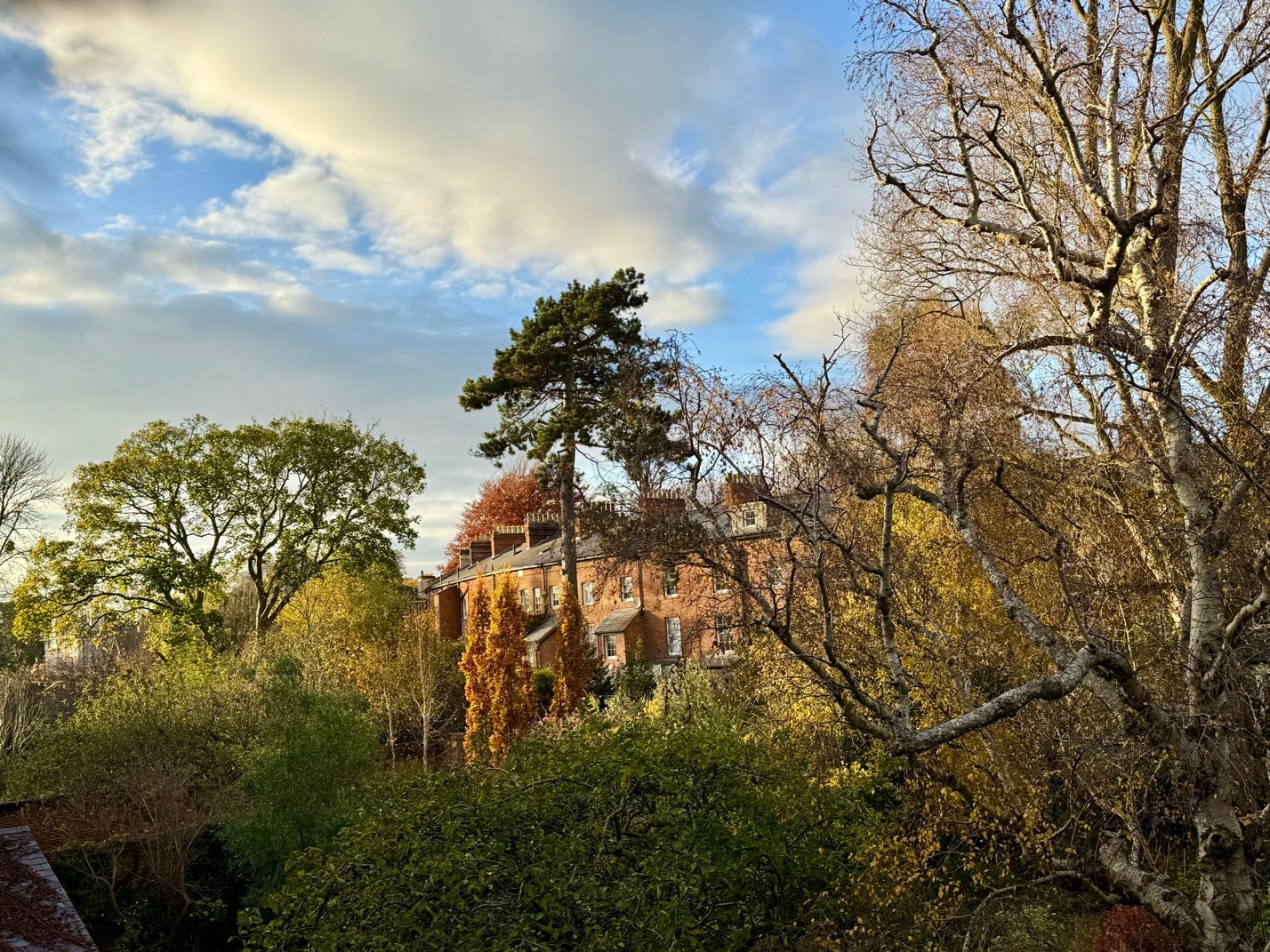 The sunrise from the window, the autumn making its way in. 