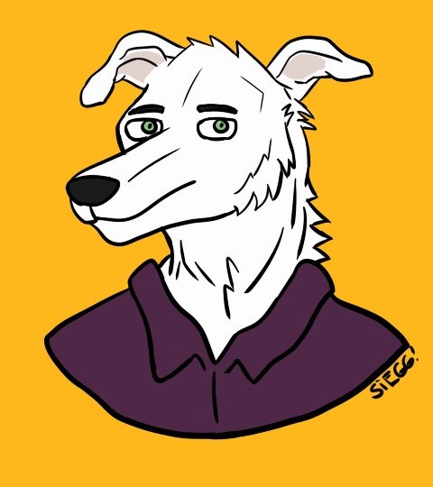 A white anthro whippet wearing a purple shirt with collar on a yellow background