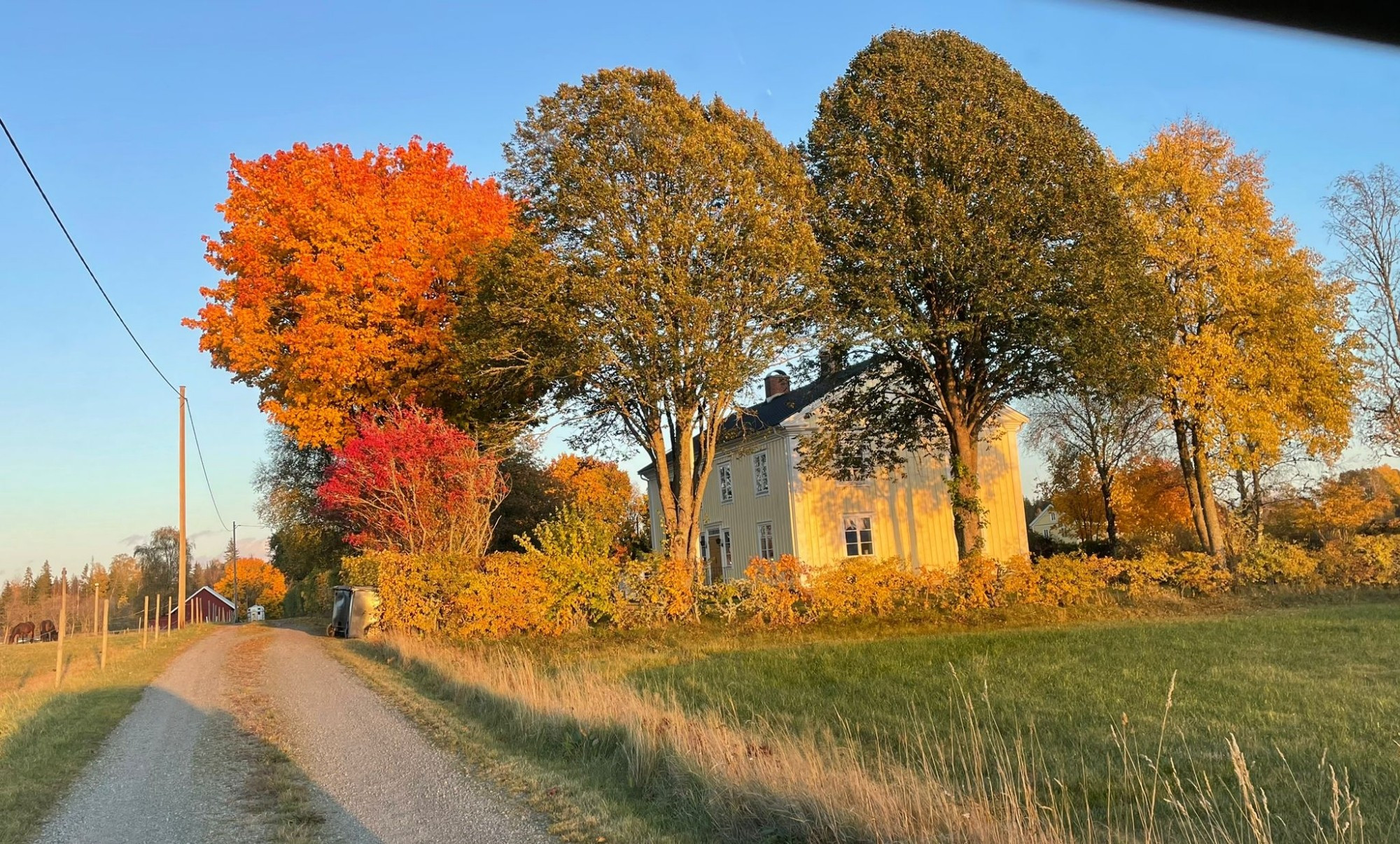 Zweeds huis in de avondzon tussen de bomen in herfstkleuren