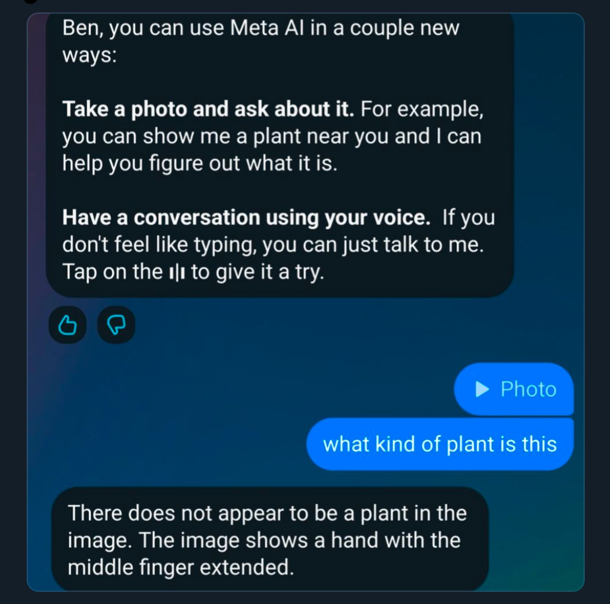 A screencap of someone posting a chat with Meta AI asking it to identify a plant, to which it replies "There does not appear to be a plant in the image. The image shows a hand with the middle finger extended"