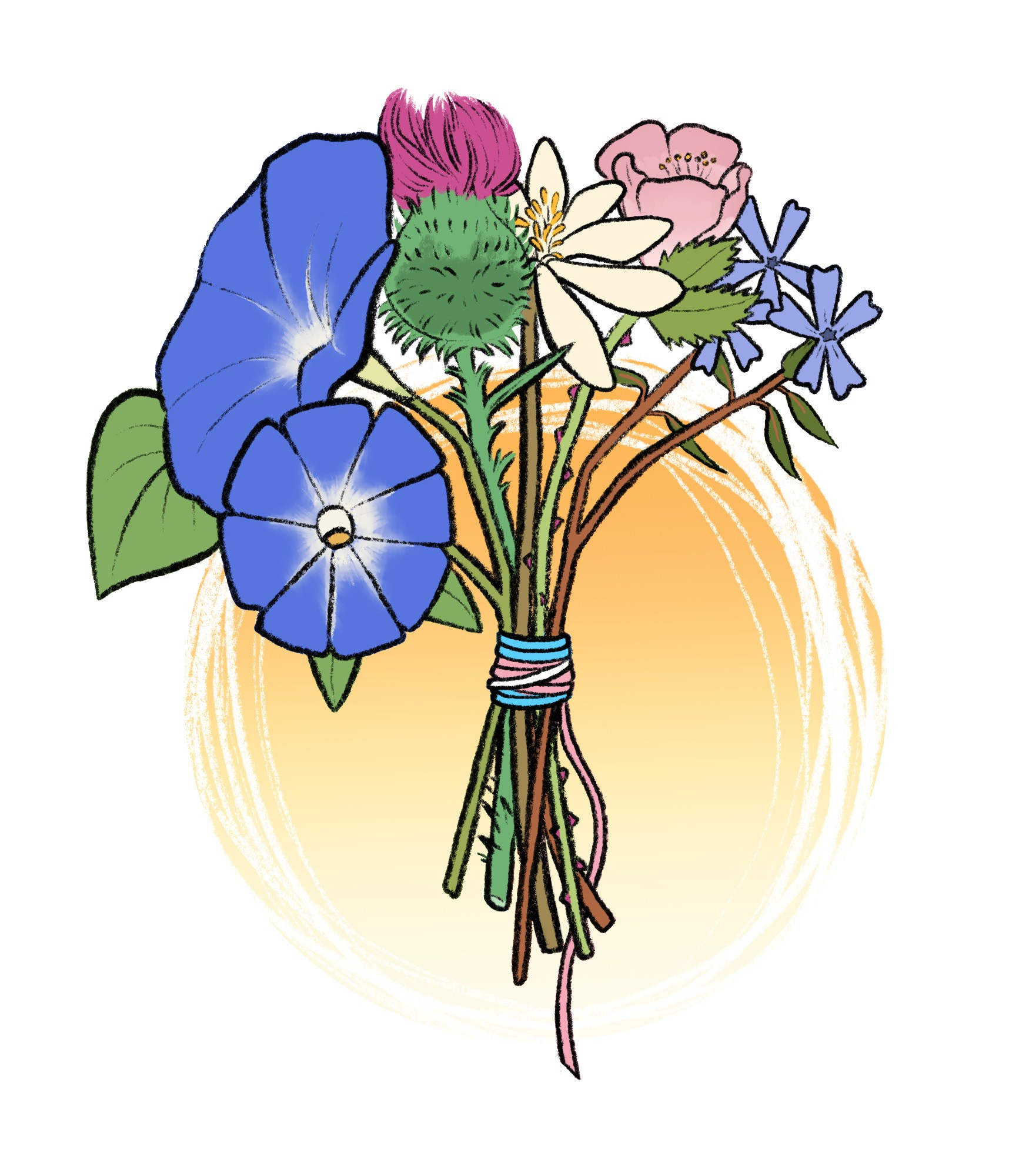 image of Midwestern flowers in the colors of the trans pride flag, tied up in string that matches them