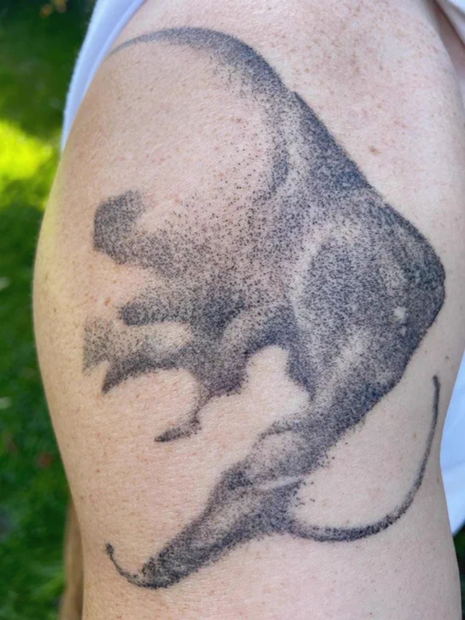 Tattoo of a mammoth facing down on the top of my arm