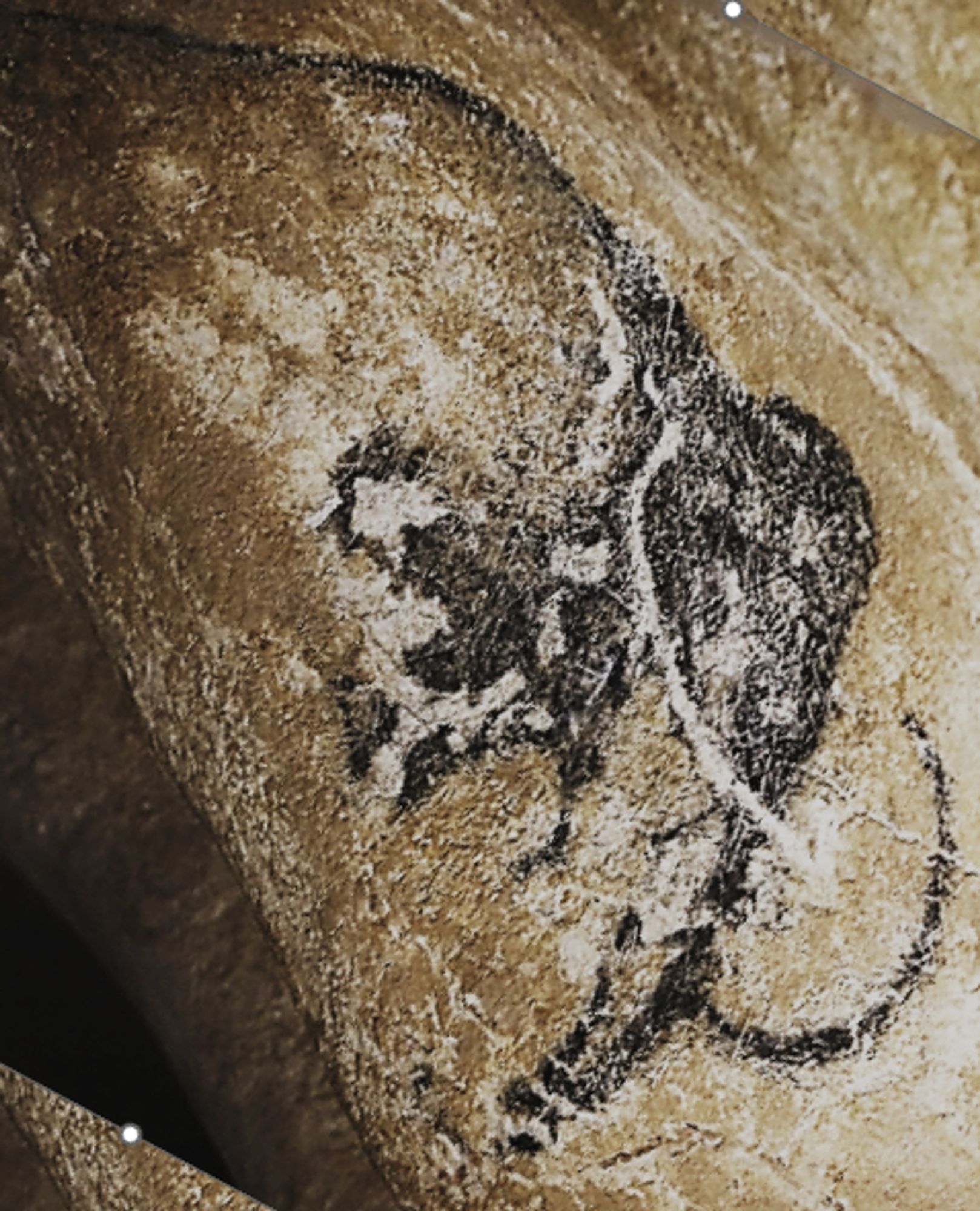 Original image of a mammoth painted on a cave wall in dark grey, scratched in places.