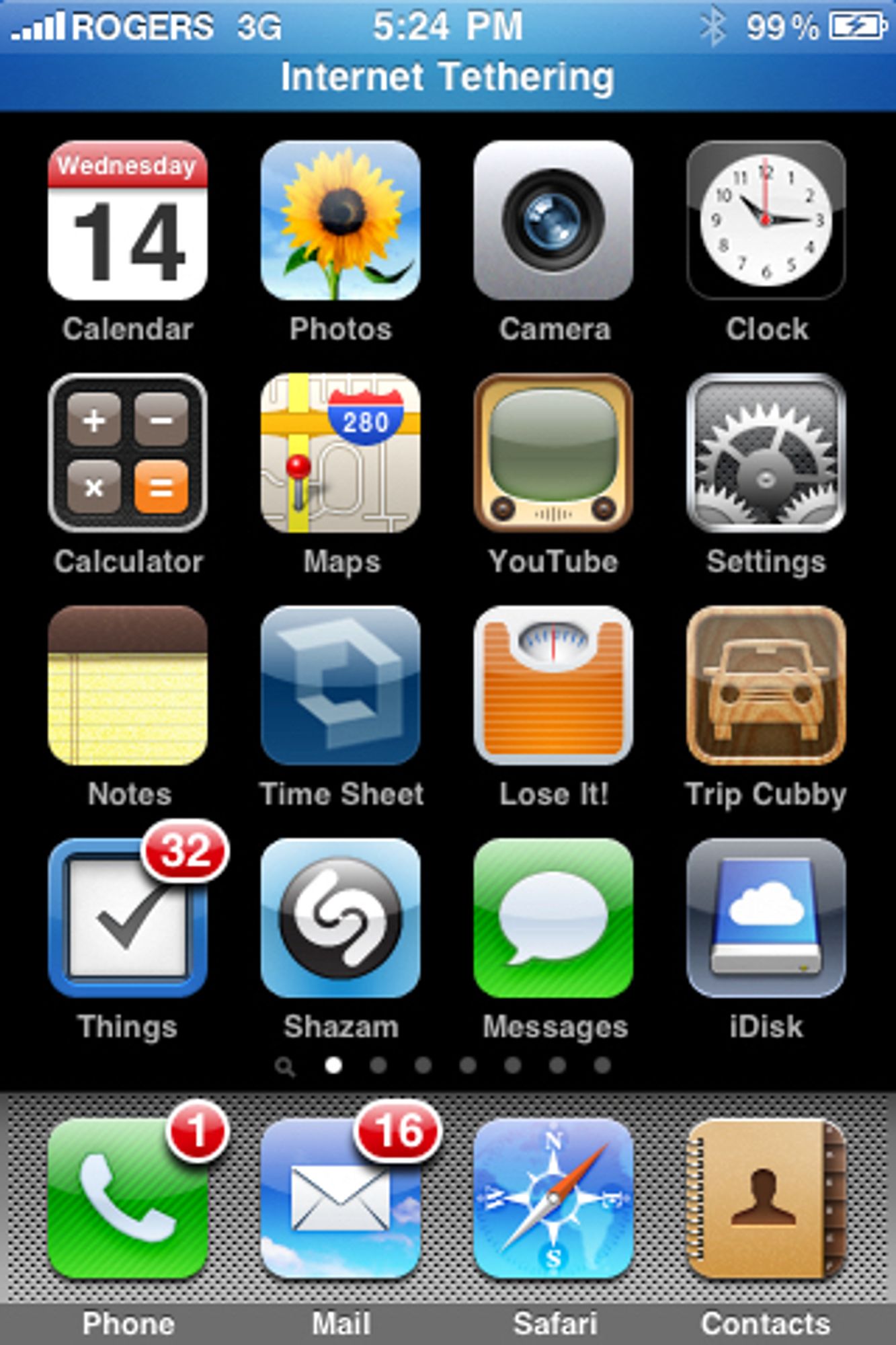 My iPhone home screen 2009