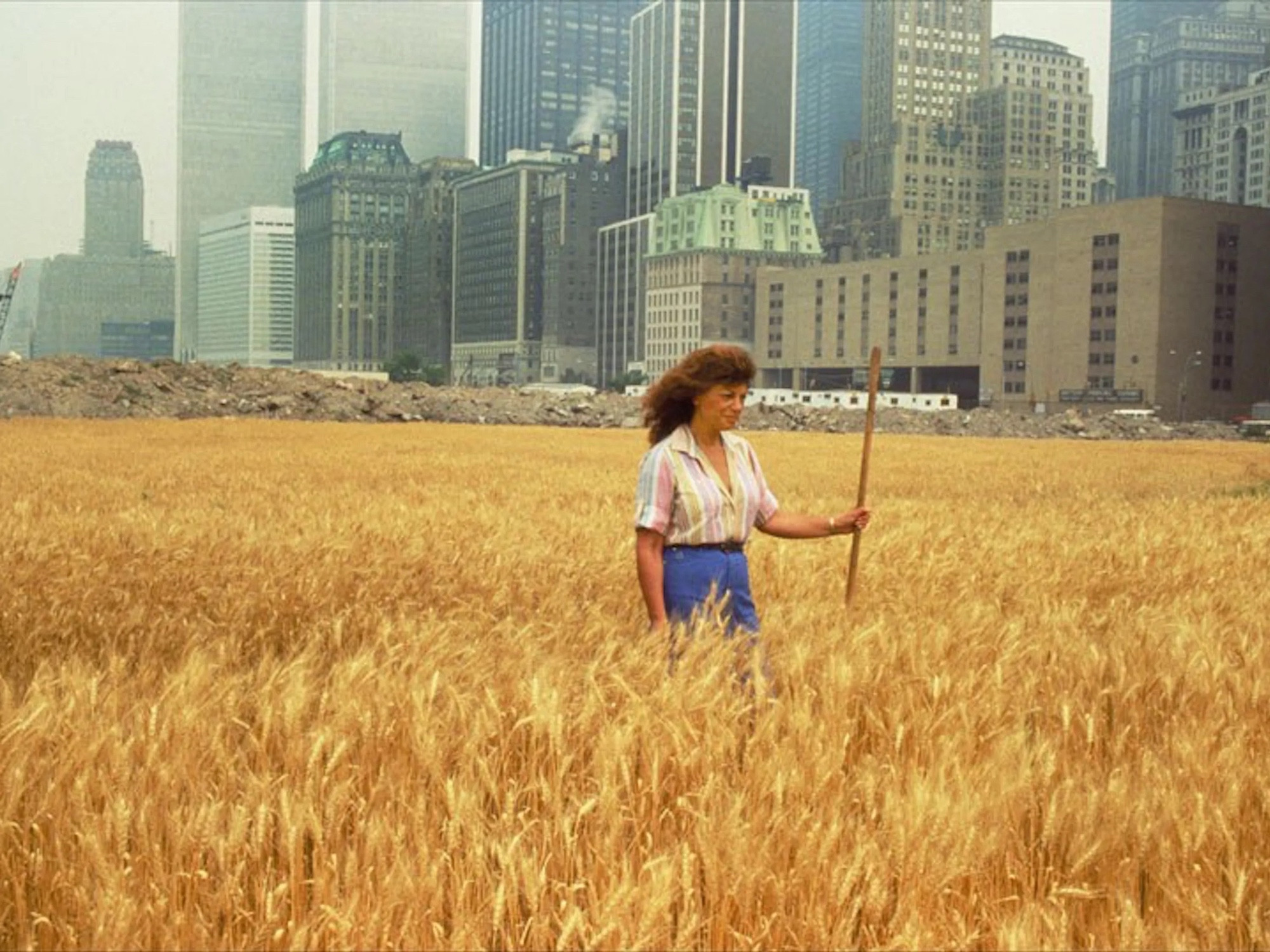 A woman standing in a waist-high field of grain with the lower Manhattan skyline behind her 