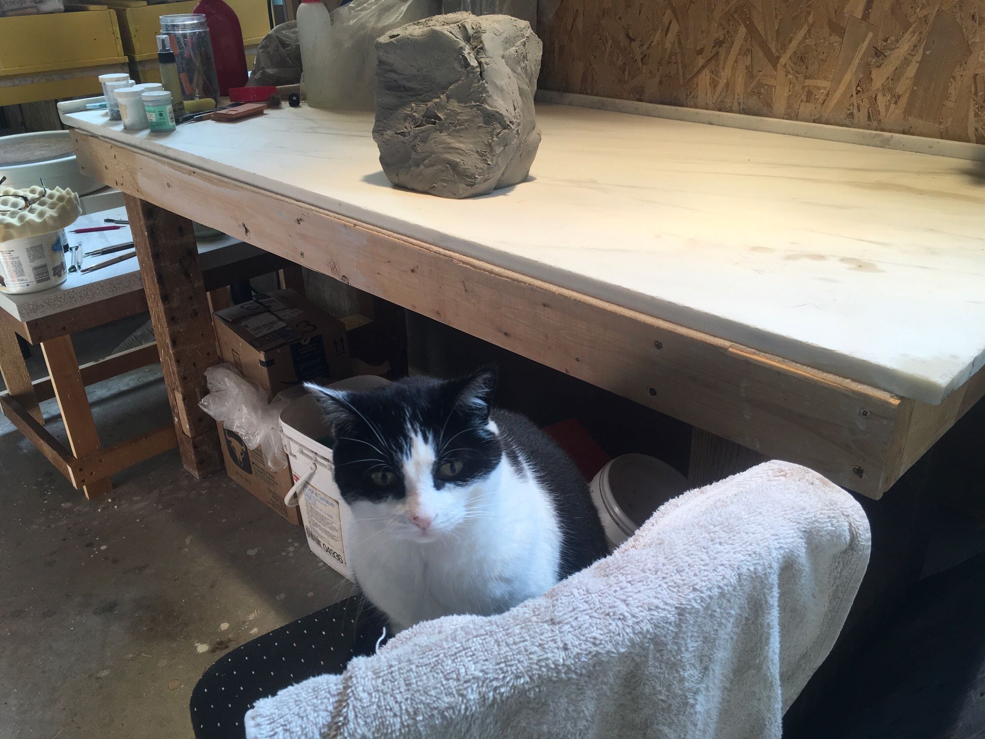 Black and white tuxedo cat sitting on a chair in front of a table with clay ready to be used for making pottery.