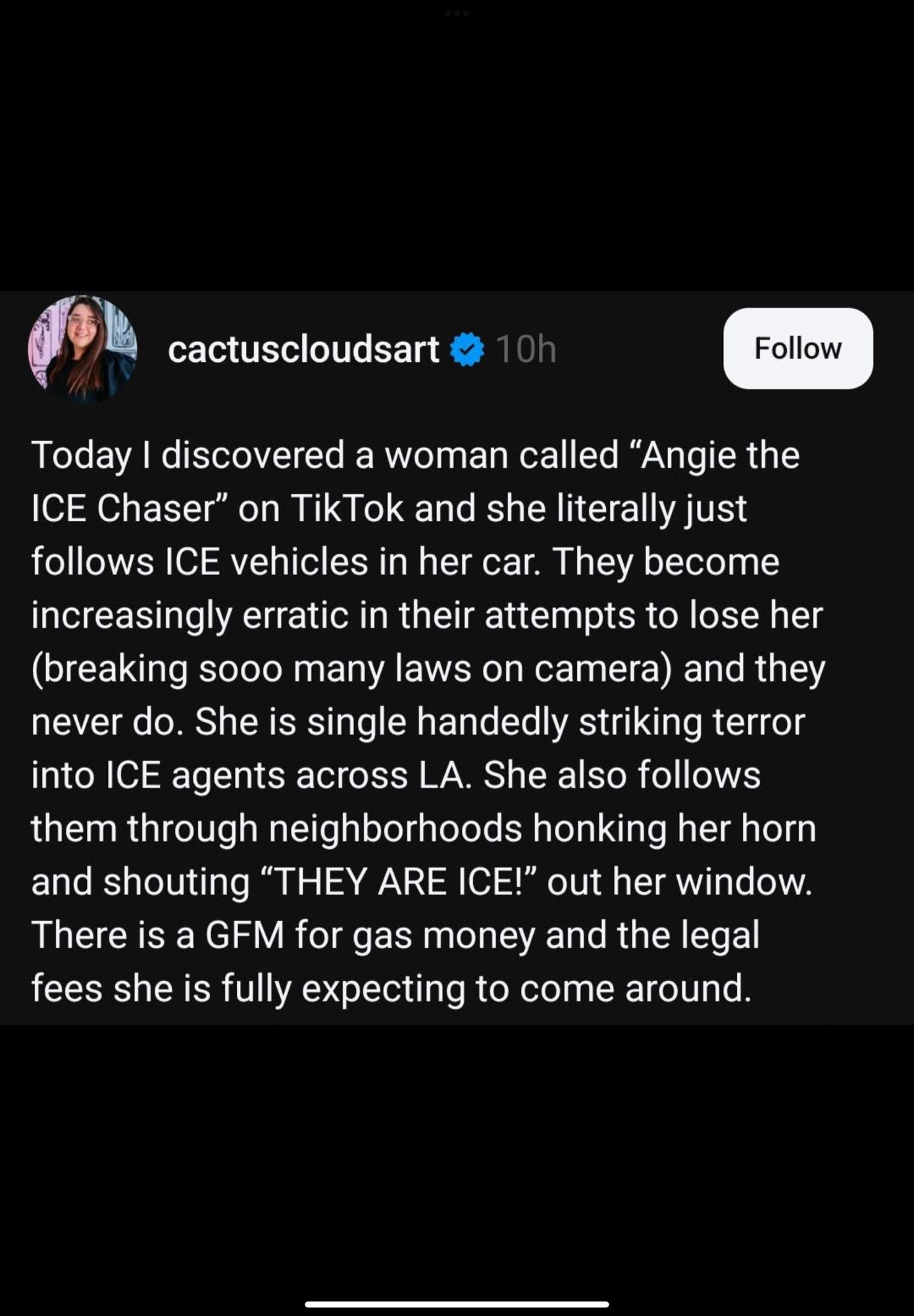cactuscloudsart 
Today I discovered a woman called "Angie the ICE Chaser" on TikTok and she literally just follows ICE vehicles in her car. They become increasingly erratic in their attempts to lose her (breaking sooo many laws on camera) and they never do. She is single handedly striking terror into ICE agents across LA. She also follows them through neighborhoods honking her horn and shouting "THEY ARE ICE!" out her window.
There is a GFM for gas money and the legal fees she is fully expecting to come around.