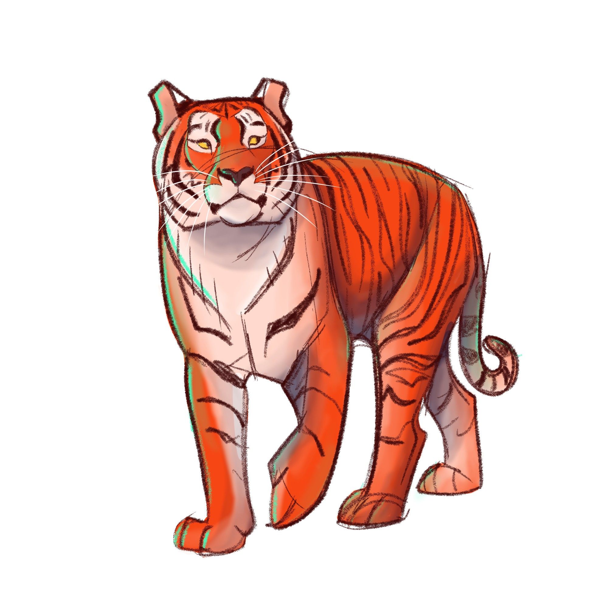 Illustration of a Amur/Siberian Tiger for Febroary2024