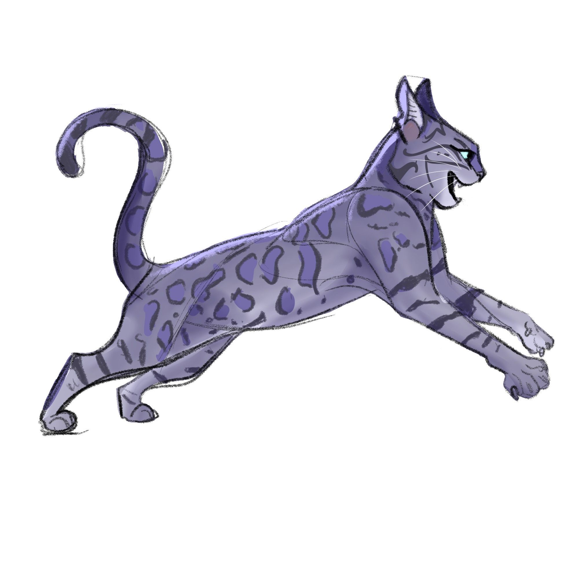 Illustration of a Bengal cat for Febroary2024