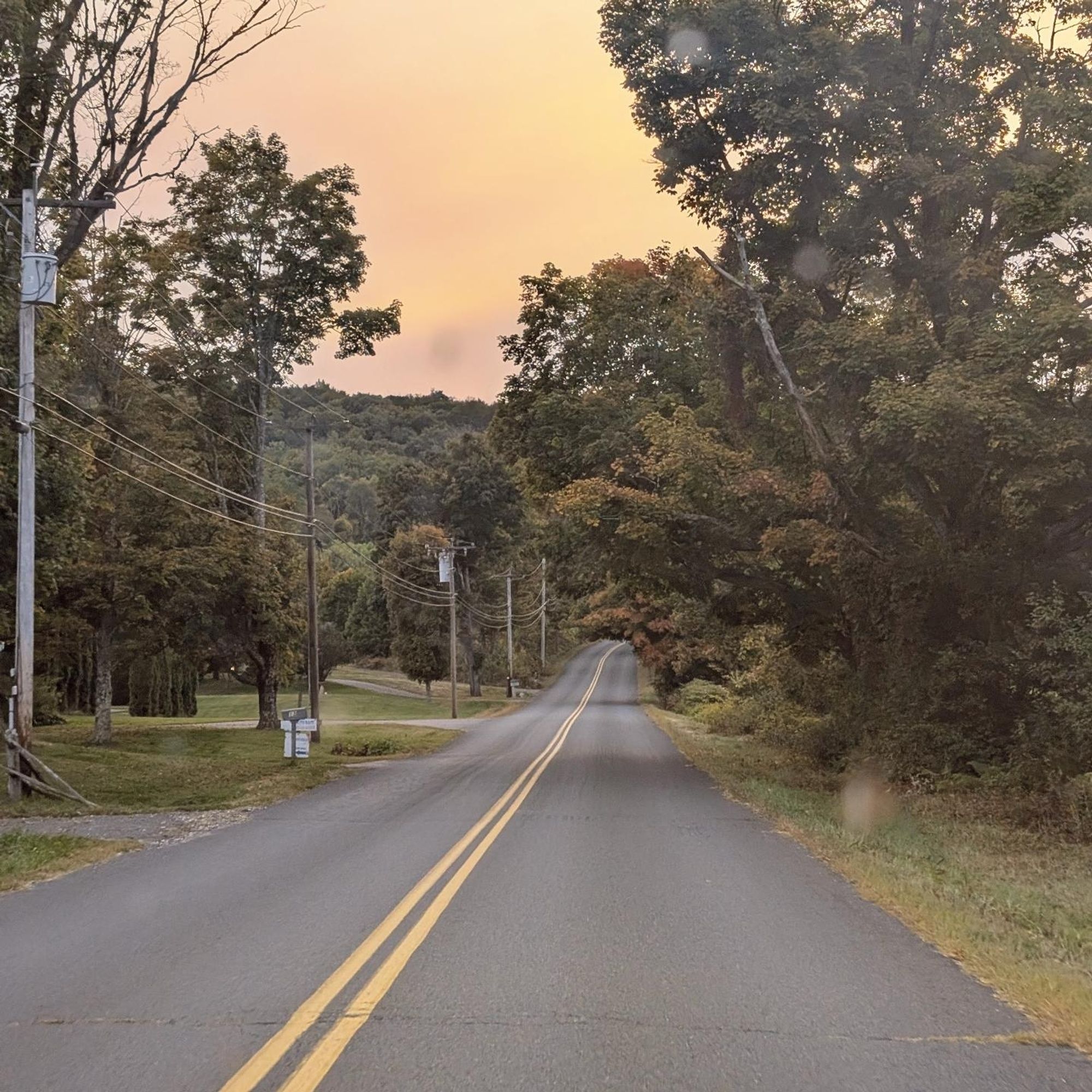 Photo of a long country road lined with trees.