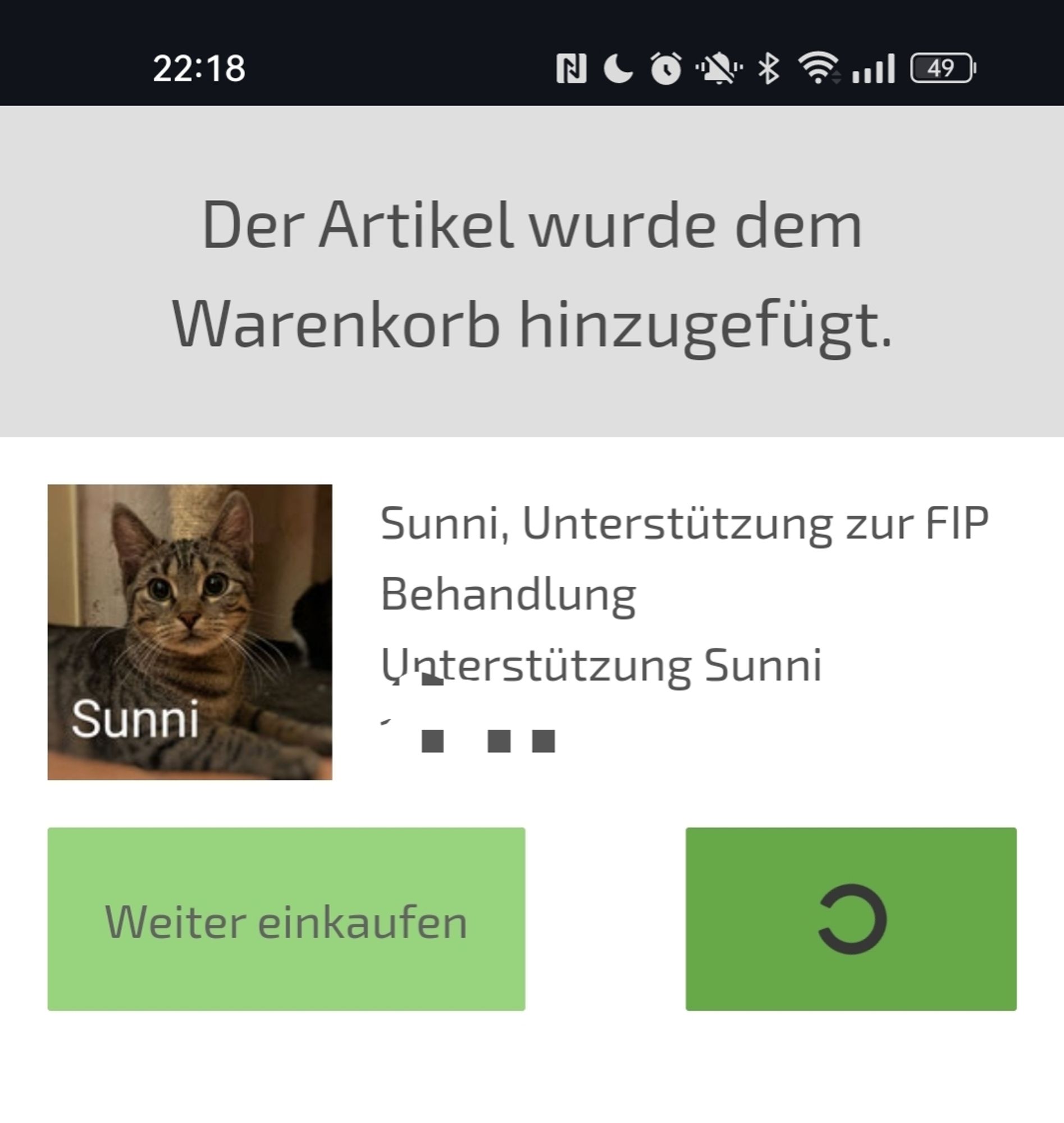 Screenshot vom Warenkorb; leider geht es nicht weiter.