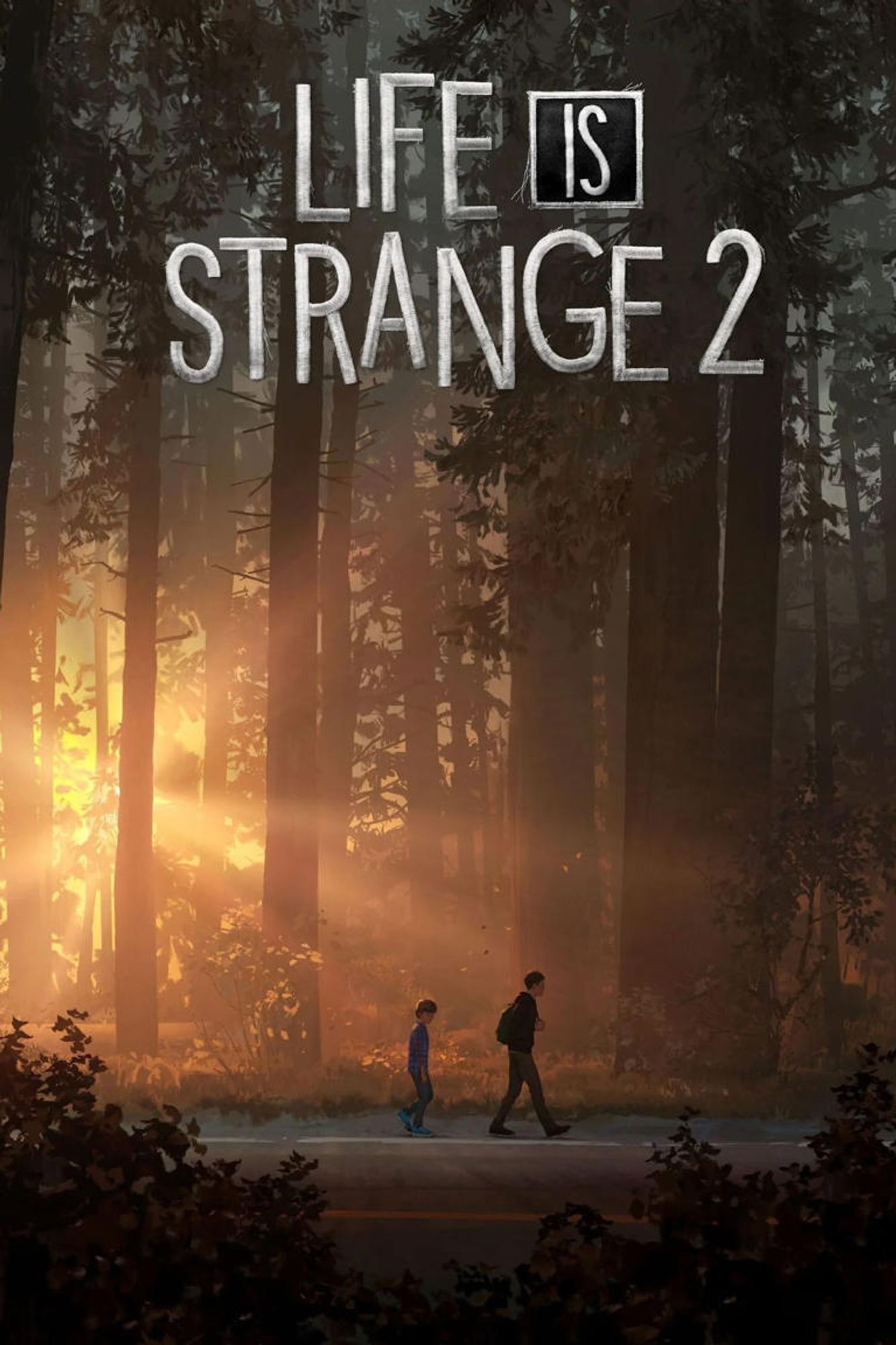 Cover del Videojuego Life is Strange 2