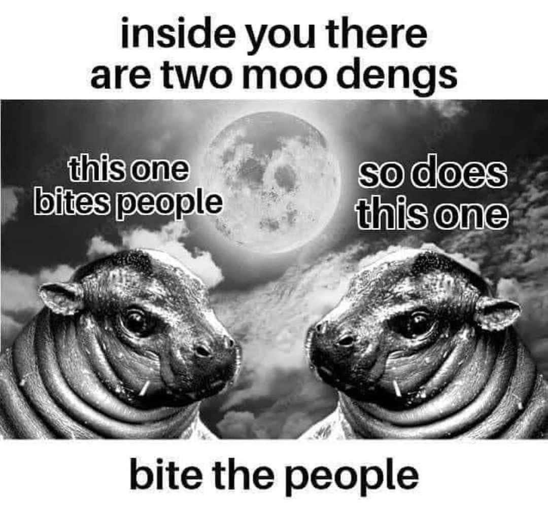 A black and white meme. Two baby hippos are on either side of a full moon over clouds. The text reads: inside you there are two moo dengs. this one bites people. so does this one. bite the people.”