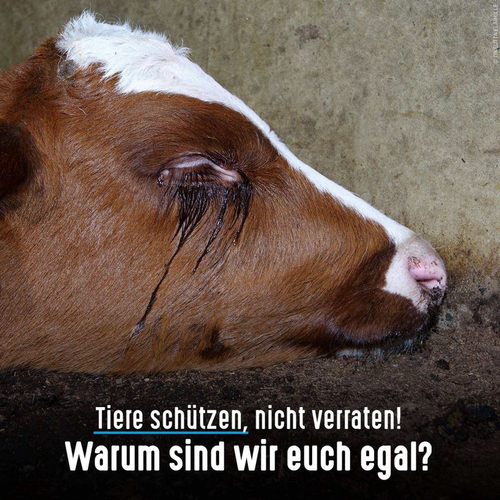 Tierschützer protestieren mit Bannern, Schildern und großen Tierfiguren in Berlin. Banner-Text: Tiere schützen, nicht verraten! Ein wirksames Tierschutzgesetz jetzt!