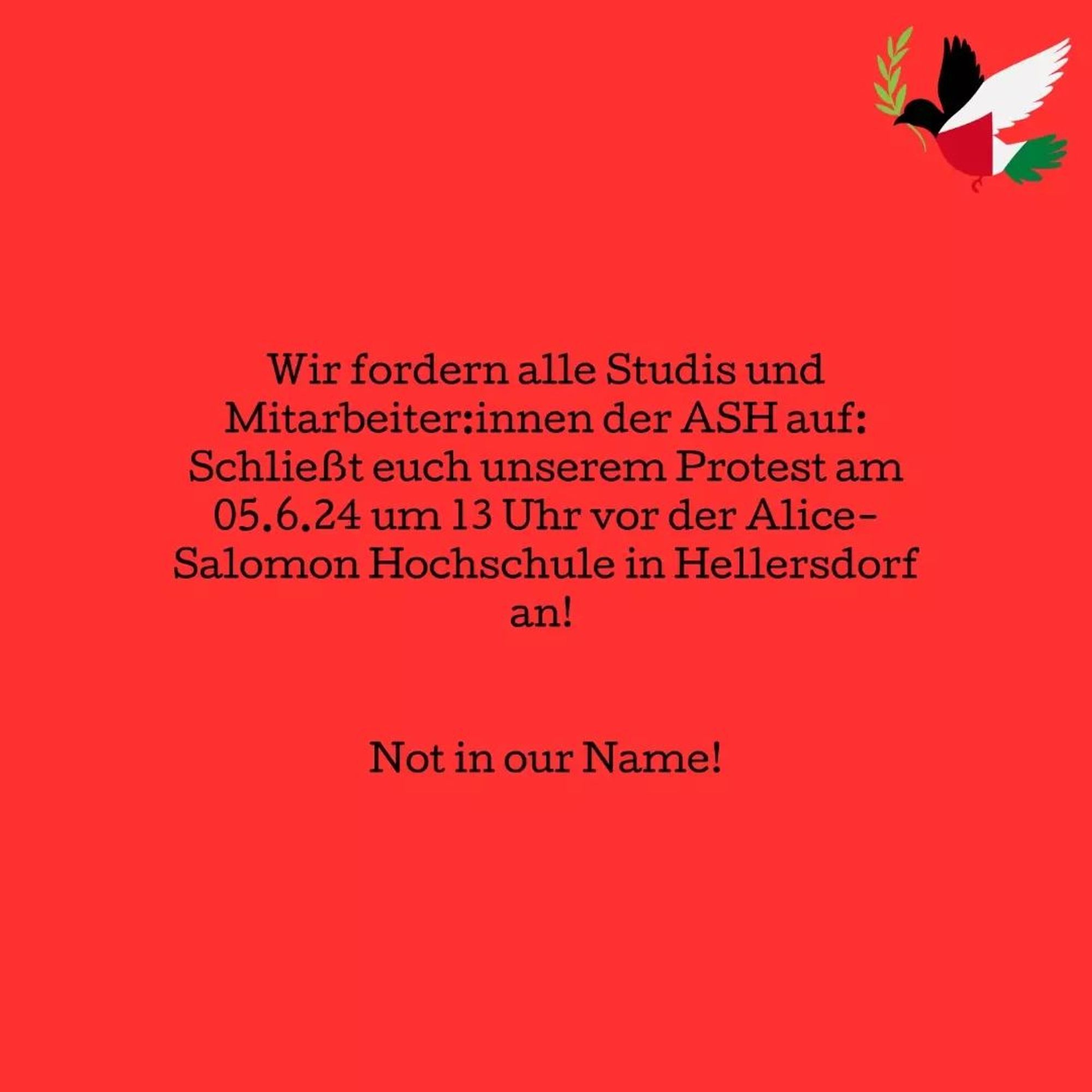 Was bedeutet es für unsere Menschlichkeit, dass es NORMAL?! ist, verbrannte Kinder zu sehen und die Medien versuchen, dies zu legitimieren? Welche Menschlichkeit haben wir dann noch in uns?

Jede einzelne Universität und jedes Krankenhaus in Gaza wurde durch Israel zerbombt, wie können an der ASH Leute für den Sorge-, Gesundheits- und Bildungssektor ausgebildet werden, ohne das zu verurteilen? Wie zur Hölle kann der Hochschulbetrieb einfach normal weitergehen?

Die Hochschulleitung der ASH positioniert sich währenddessen einseitig, was unter anderem durch diverse Statements in e-Mails an die Studierendenschaft, die rassistisch konnotierten Plakate gegen Antisemitismus im Hochschulgebäude und das Zensieren von palästinensischen Stimmen bei sogenannten "Dialog-Veranstaltungen" deutlich wurde.

Wir lassen uns nicht einschüchtern.

Wir werden auch an der ASH ein Zeichen gegen Genozid und gegen die Kompliz:innenschaft Deutschlands setzen!

Wir setzen uns für eine sofortige Waffenruhe und ge