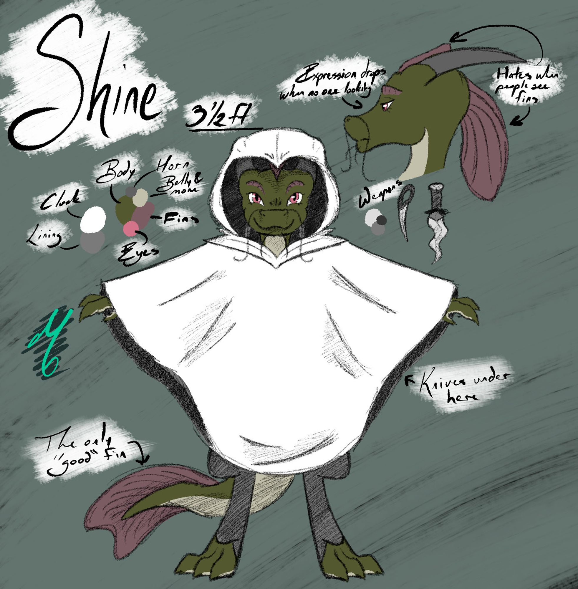 Reference sheet for Shine, a kobold with catfish features, wearing a long, hooded, white cloak, such that little of her body is visible.
Text, clockwise: "3 1/2 feet" | "Expression drops when no one looking" | "Hates when people see fins" | "Knives under here" | "The only 'good' fin"