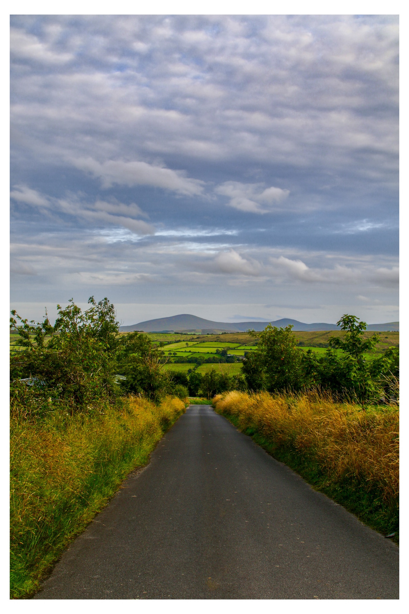 A narrow Irish country road stretches into the distance, bordered by tall grasses and green hedgerows. Beyond the fields, rolling hills and patchwork farmland spread out under a partly cloudy sky with soft light breaking through. The scene is peaceful and rural, with shades of green dominating the landscape.
