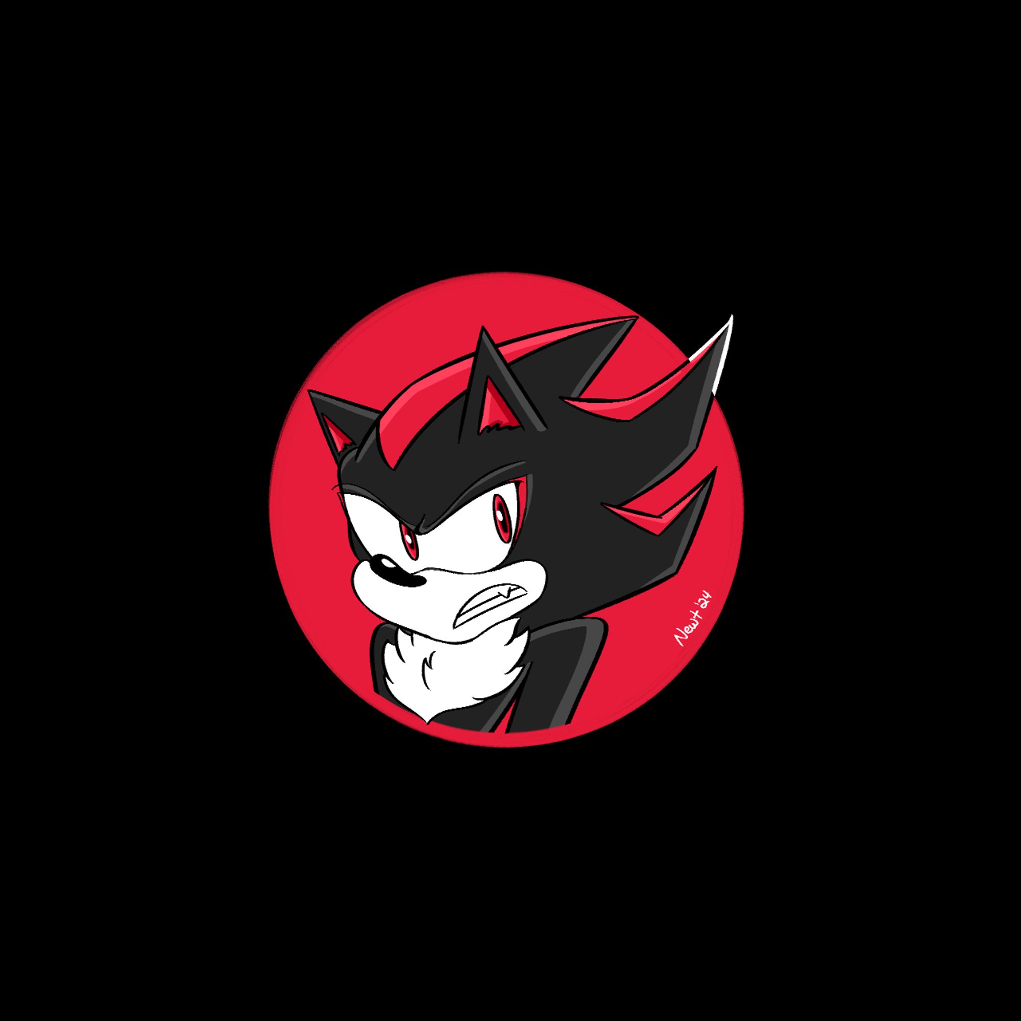 Art of Shadow the Hedgehog drawn with a red and black color scheme.